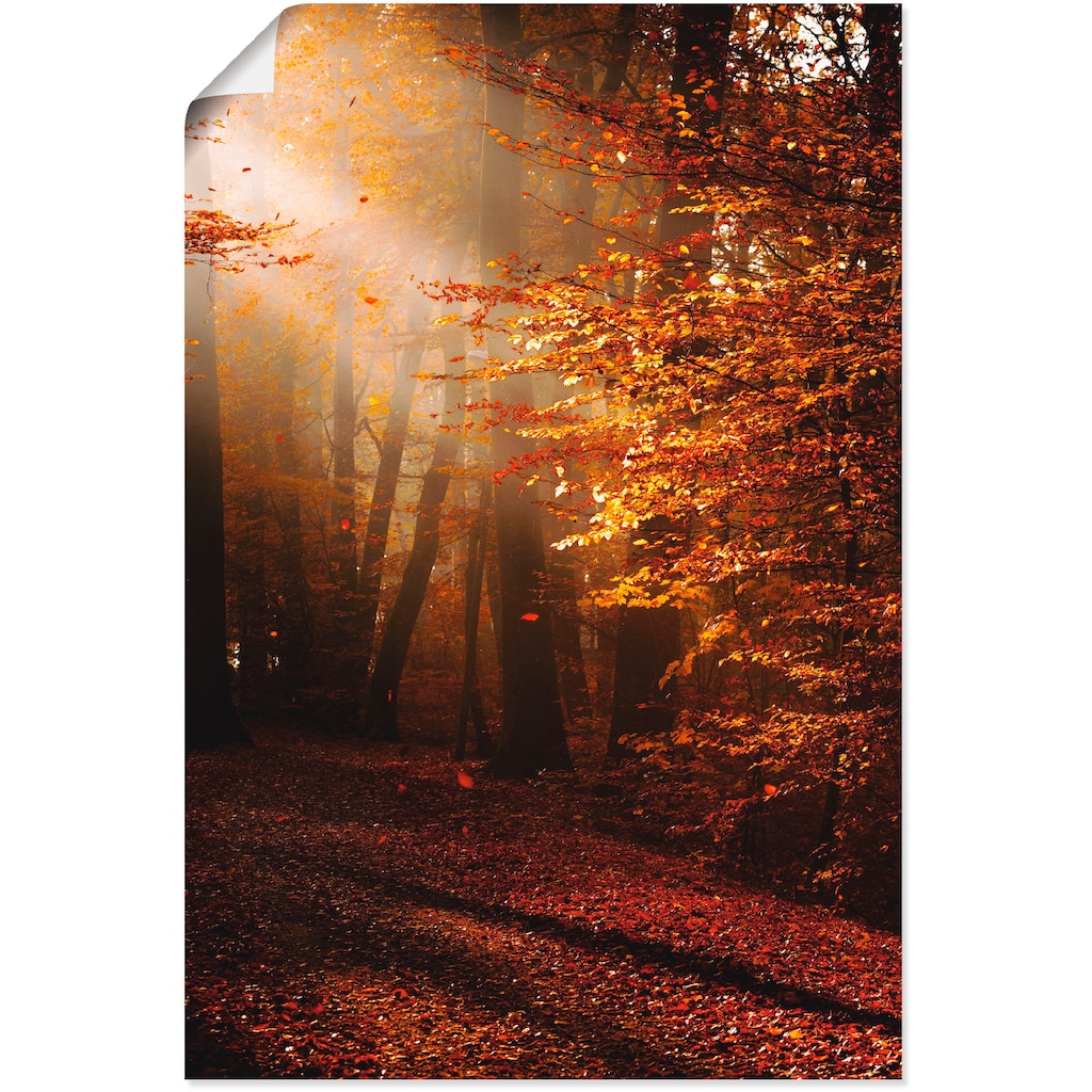 Artland Wandbild »Sonnenaufgang im Herbst«, Wald, (1 St.)