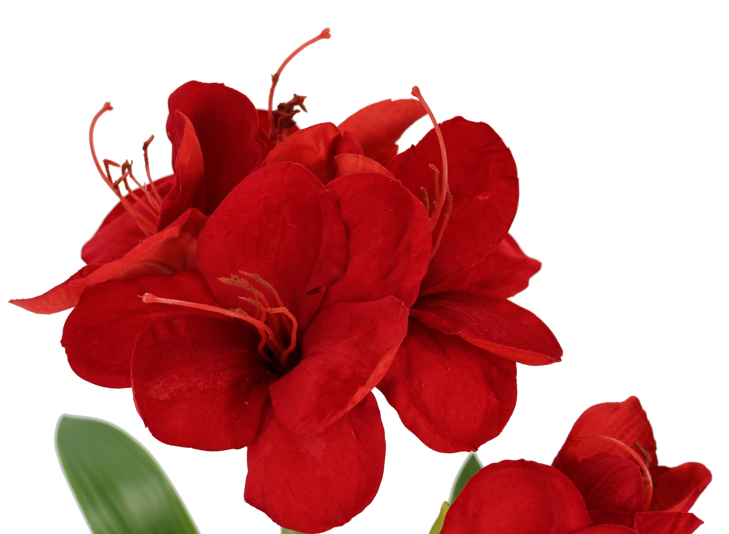 I.GE.A. Kunstblume »Amaryllis im Topf«, 50cm Blume Weihnachtsblume Weihnachtsdeko Winterblume Floristik