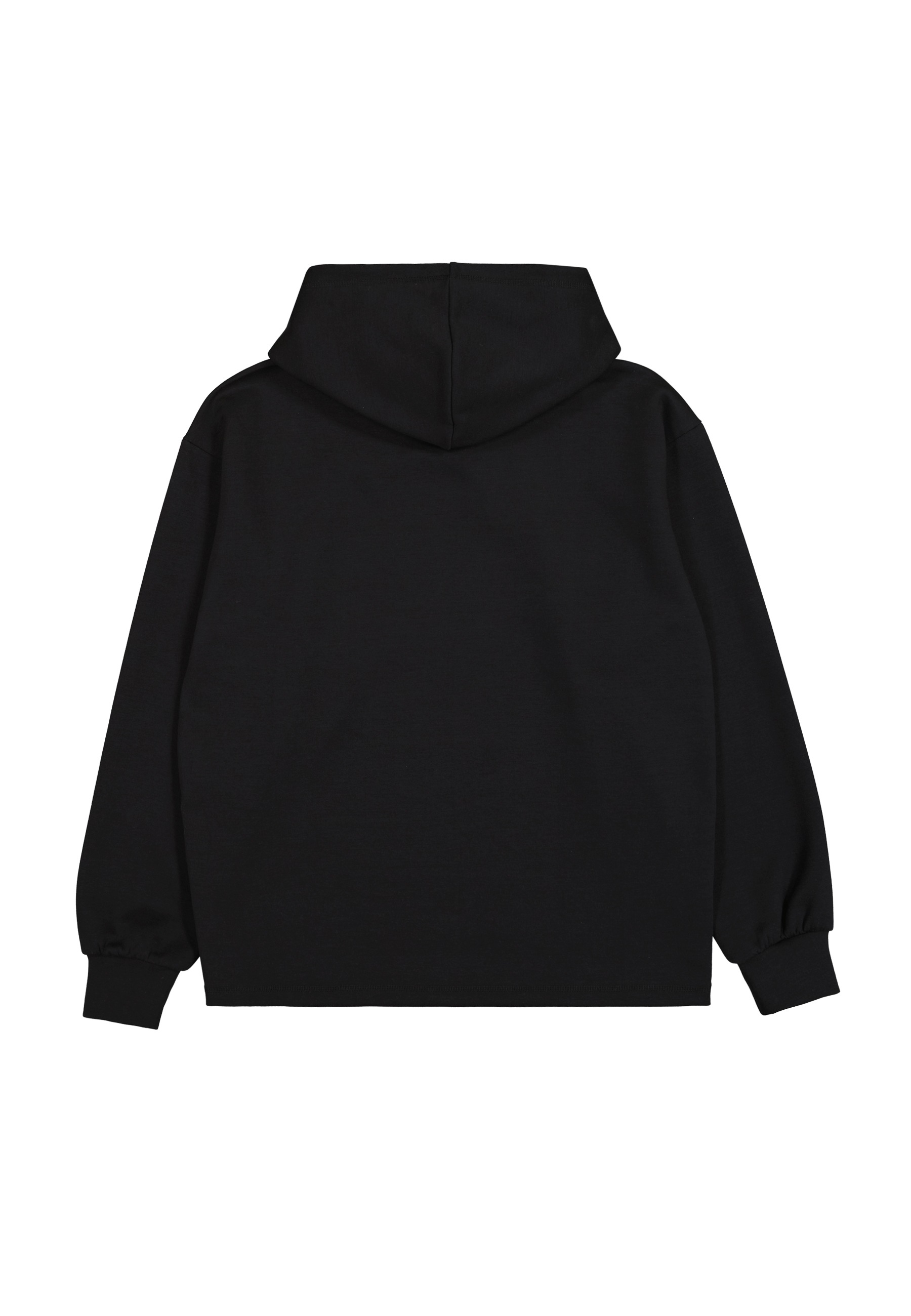 Champion Kapuzensweatshirt