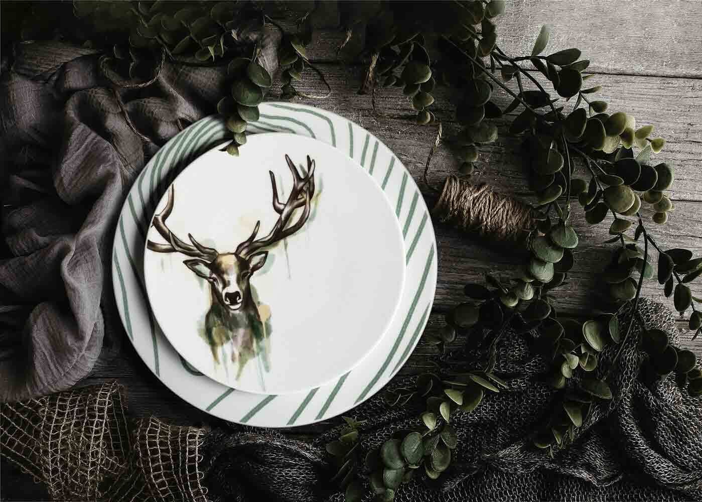 Seltmann Weiden Frühstücksteller »Frühstücksteller Life Nature Jahresringe ø 22,5 cm 6er Set weiß-grün« Spülmaschinengeeignet, Mikrowellenfest, Ofenfest