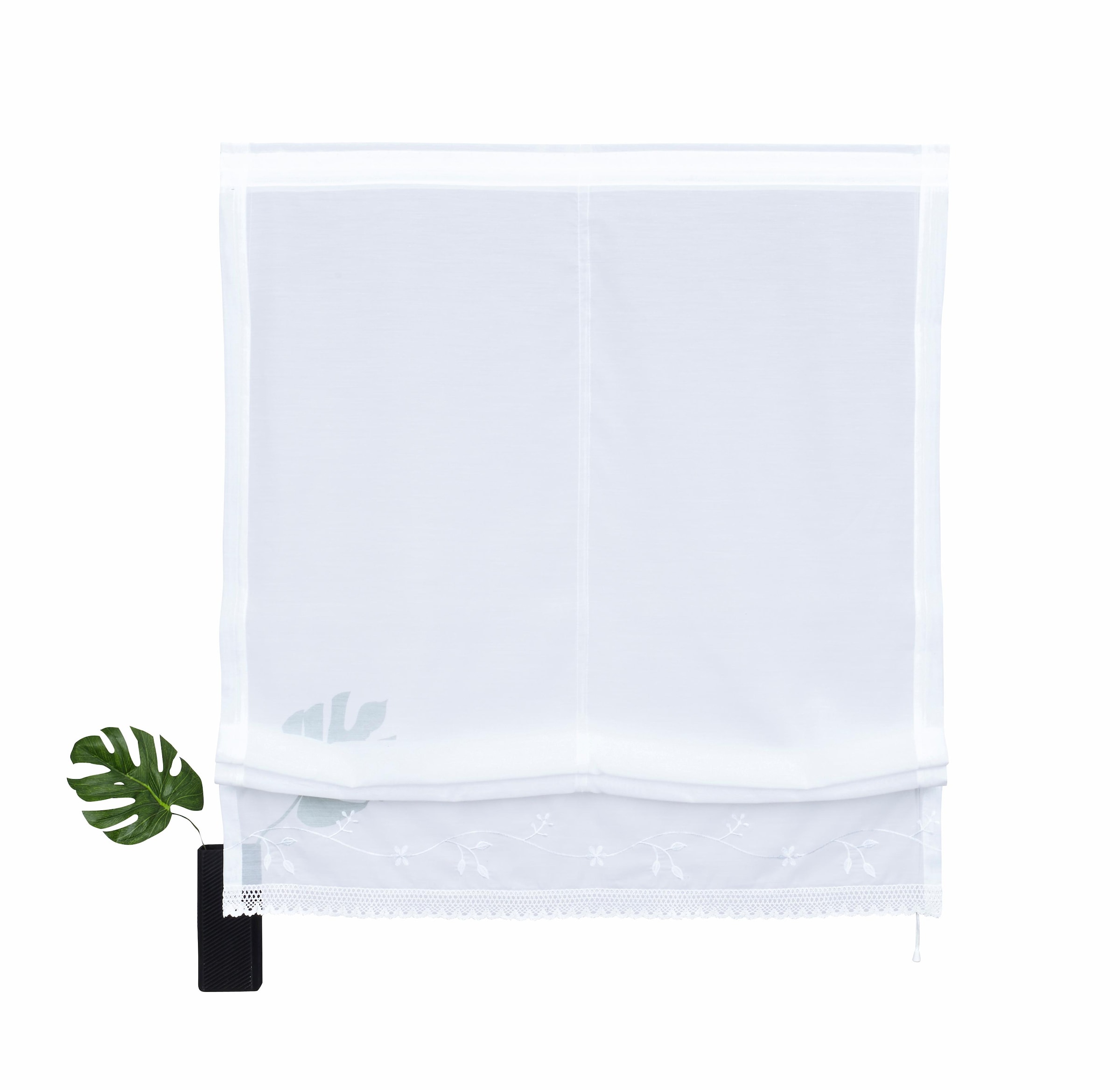 my home Raffrollo »Idaho« mit Klettband Transparent, Voile, Polyester