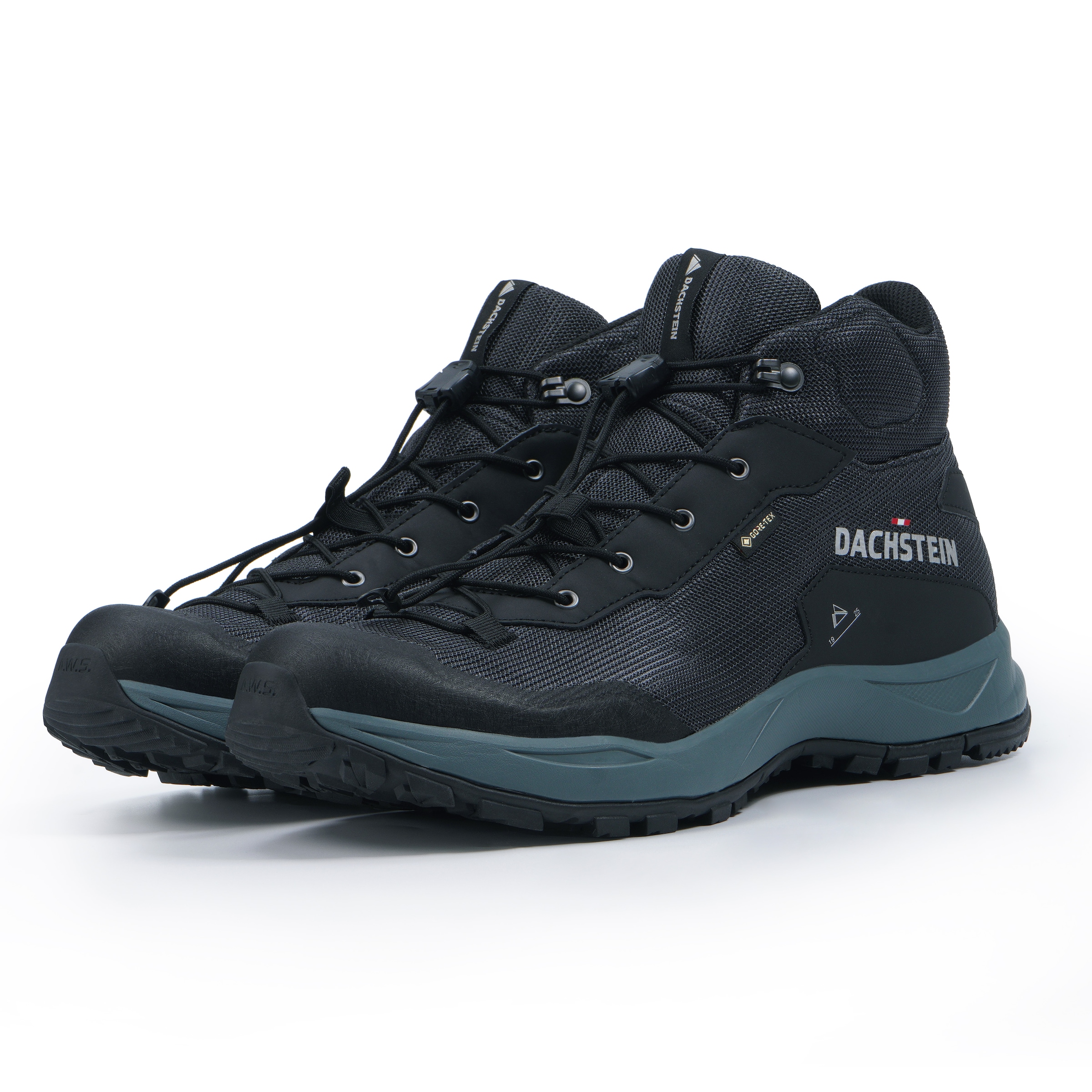 Dachstein Wanderschuh »DELTA ASCENT MC GORE-TEX«, wasserdicht