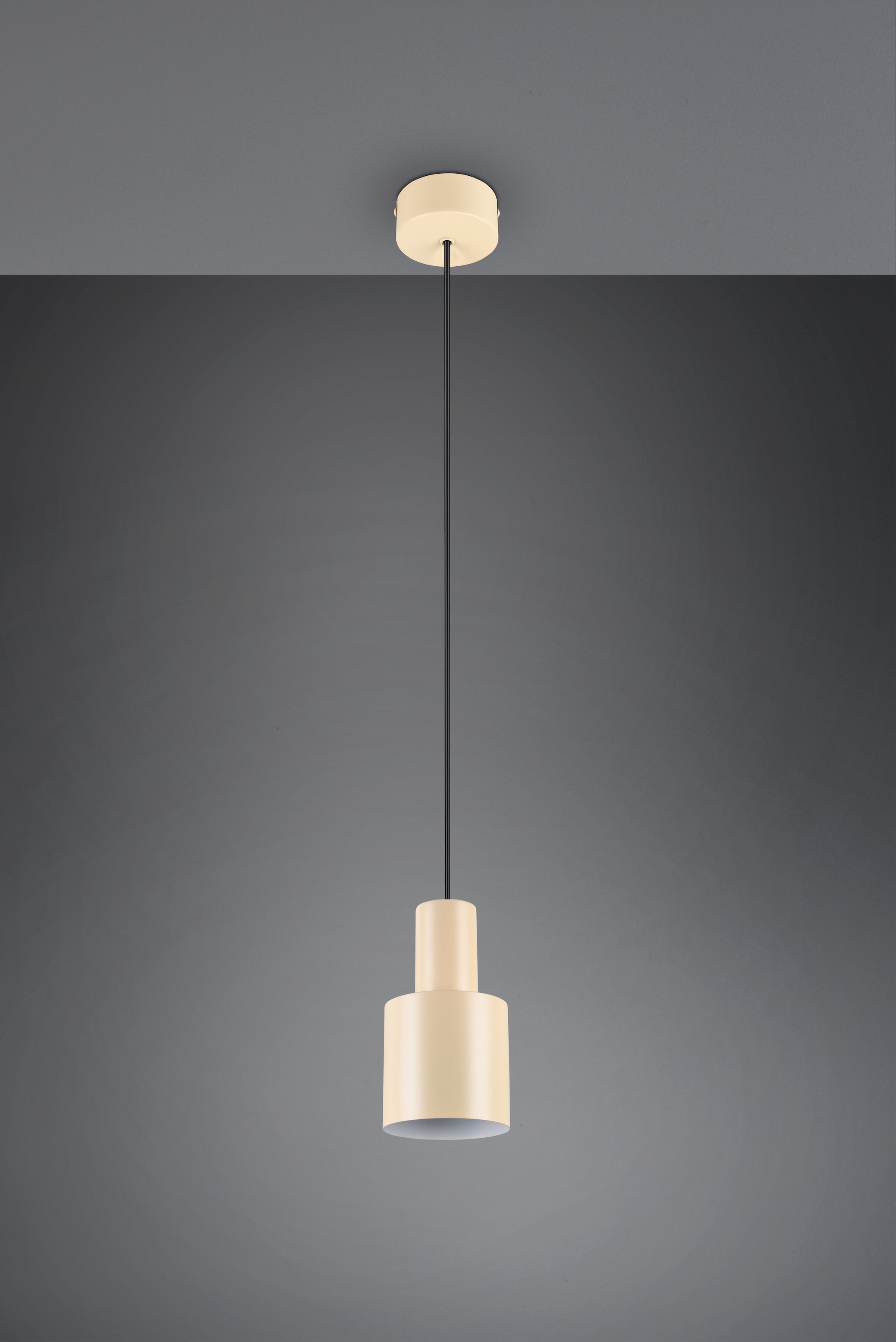 TRIO Leuchten Pendelleuchte »AGUDO, Hängelampe 1-flammig, exkl 1xE27 max 10W, höhenverstellbar« E27 1 Stk. warmweiß - kaltweiß Hängelampe Ø 12cm, bis max 150cm Abhängung, Küche Esszimmer Wohnzimmer