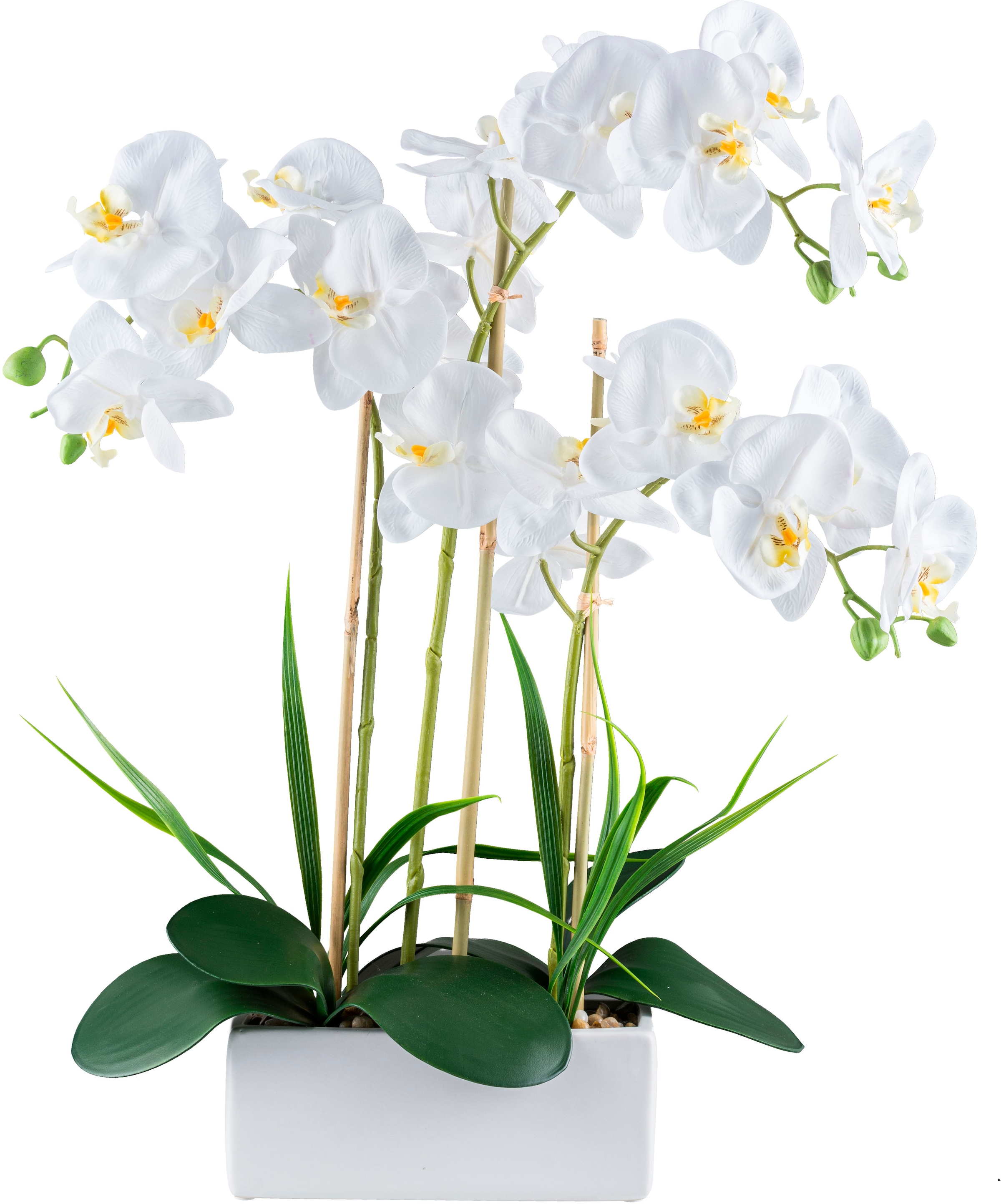 Kunstorchidee »Orchidee Phalaenopsis«, mit Graszweigen arrangiert