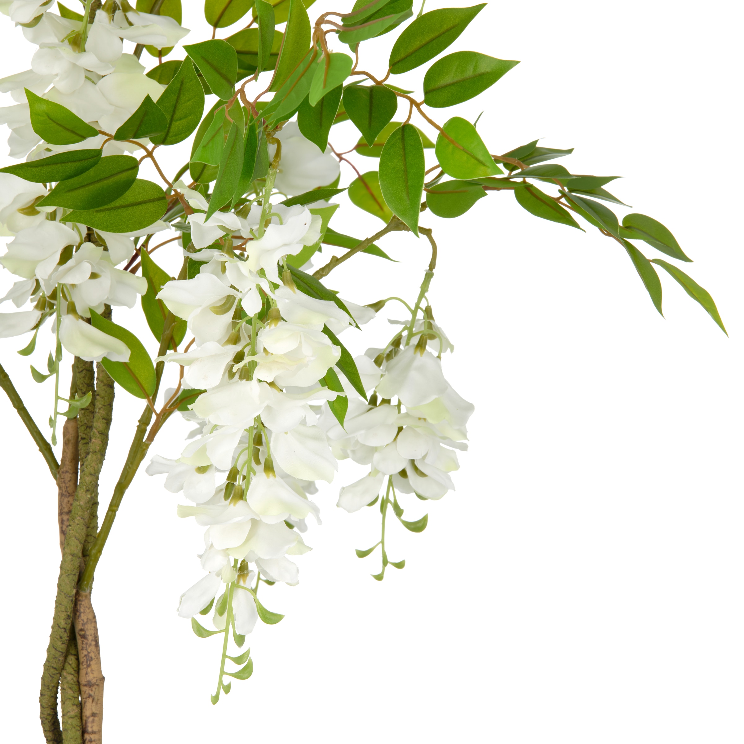 Creativ green Kunstpflanze »Wisteria« mit zahlreichen Blüten