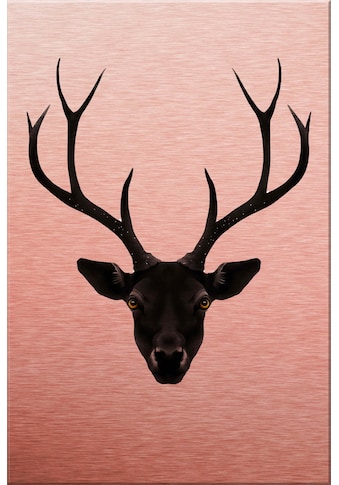 Wall-Art Alu-Dibond-Druck »Ireland - The Black Deer - Schwarzer Hirsch« kaufen