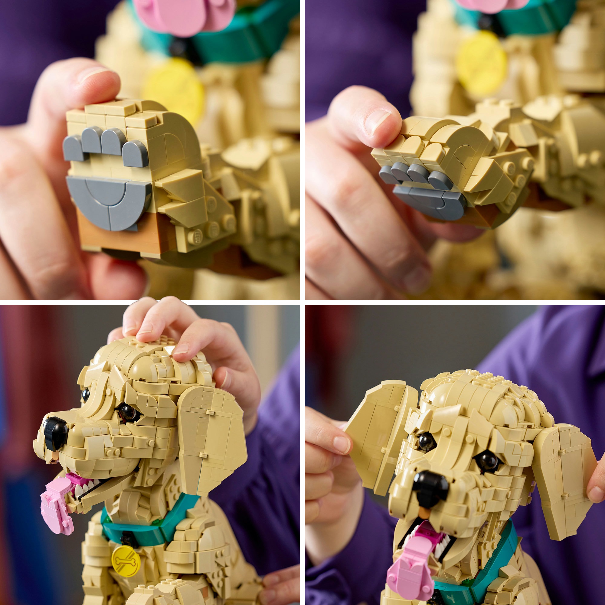 LEGO® Konstruktionsspielsteine »Golden Retriever Welpe (11384), LEGO Icons«