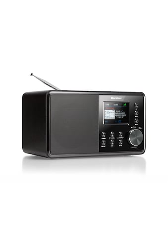Karcher Digitalradio (DAB+) »DAB 3000«, (Digitalradio (DAB+)-FM-Tuner 3 W) kaufen