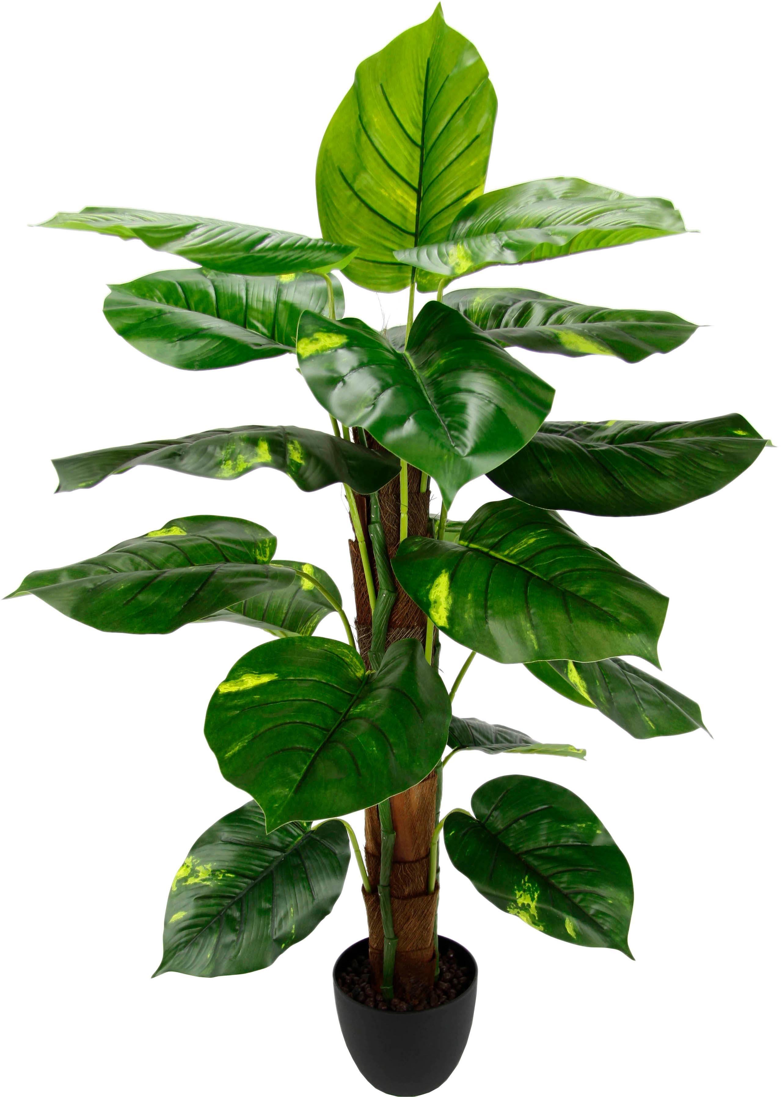 I.GE.A. Kunstpflanze »Splitphilopflanze«, im Kunststofftopf online kaufen |  mit 3 Jahren XXL Garantie