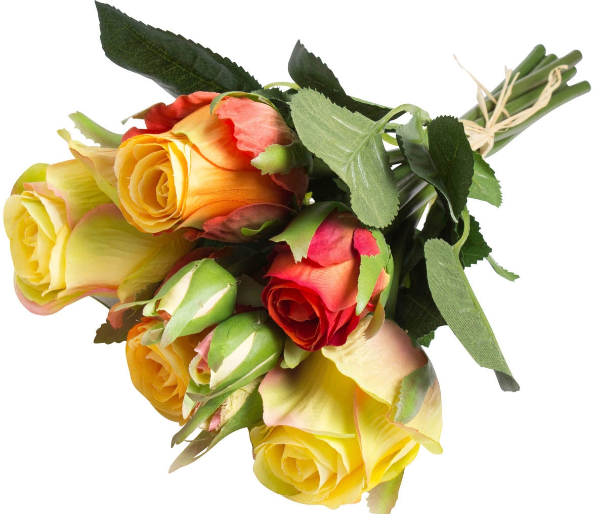 3 Knospen« Botanic-Haus »Rosenstrauß Kunstblume Raten 5 mit und Rosen auf kaufen