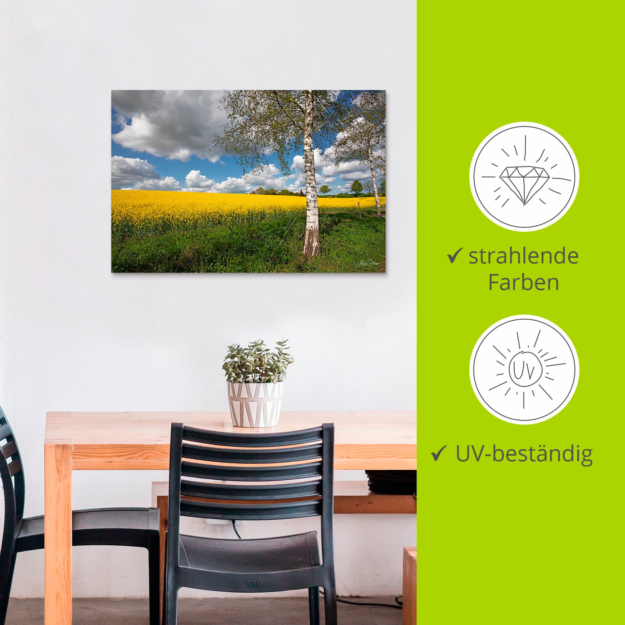 Artland Wandbild »Rapsfeld«, Wiesen & Baumbilder, (1 St.), als Alubild, Outdoorbild, Poster in verschied. Größen