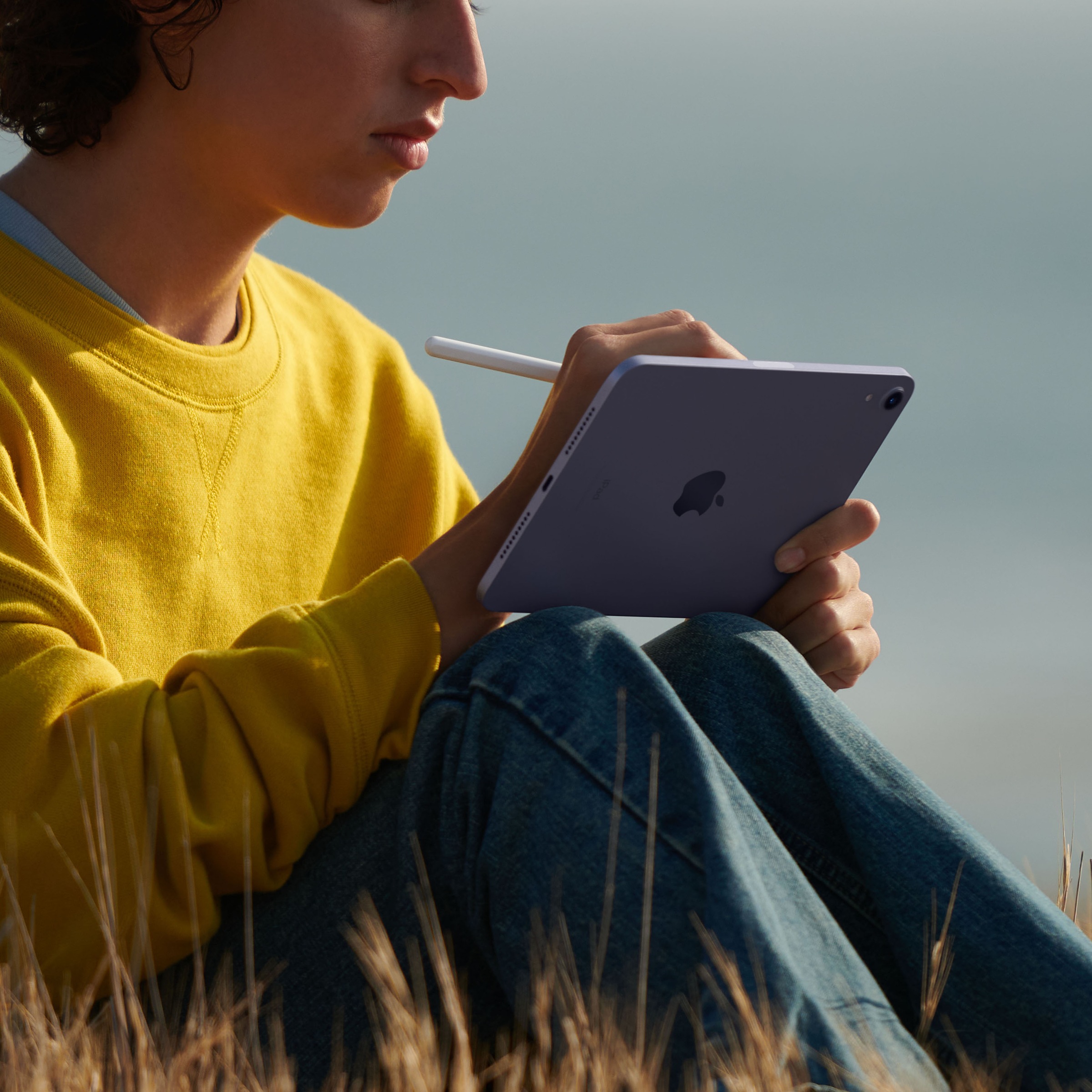 Apple Tablet »iPad mini Wi-Fi (2021)«, (21,08 cm / 8,3 Zoll), iPadOS,)