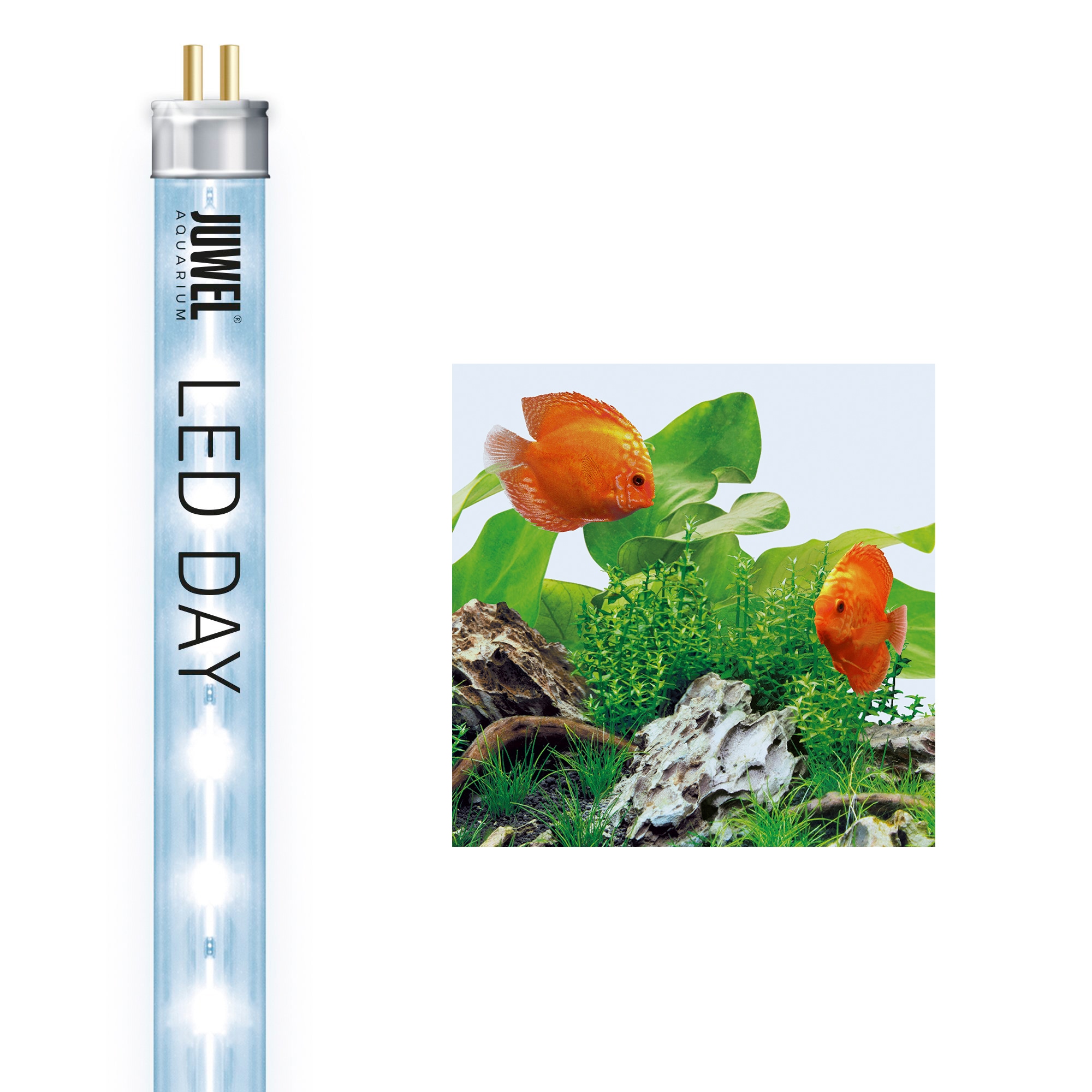 JUWEL AQUARIEN LED Aquariumleuchte »Day 9000K« kaufen