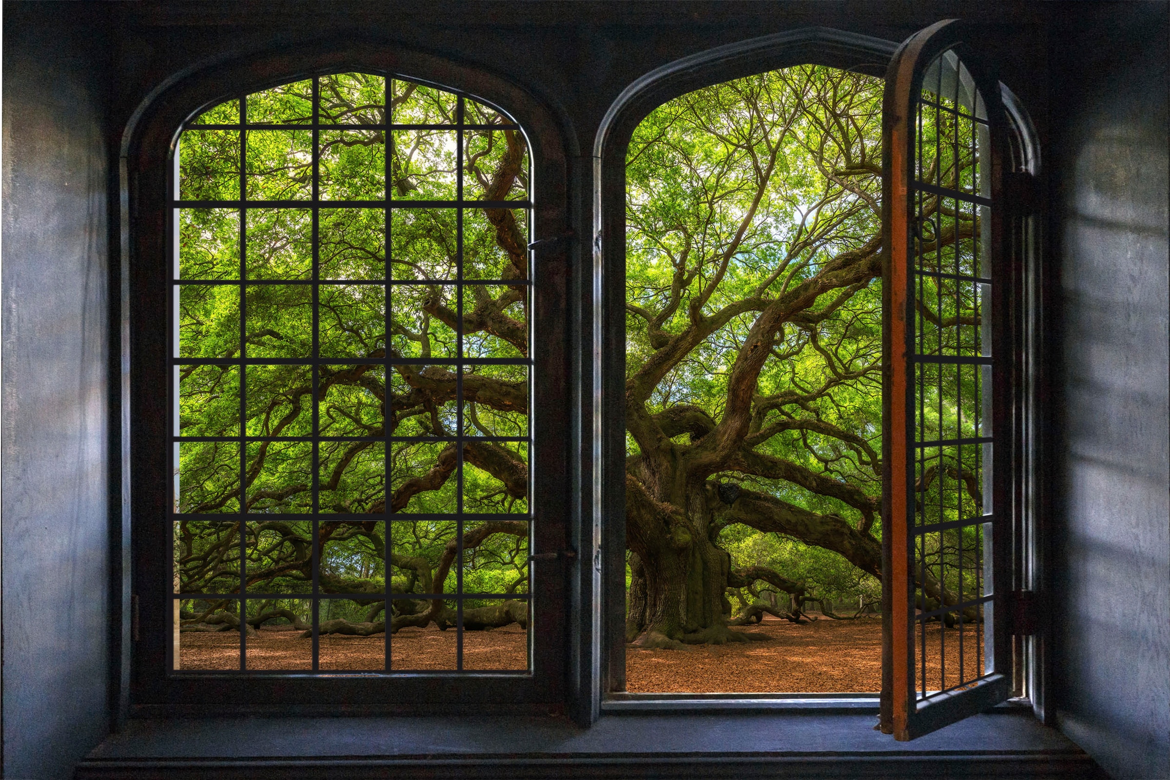 queence Wandsticker »Bäume« Wandsticker, Wandbild, selbstklebend, 3D, Fenster