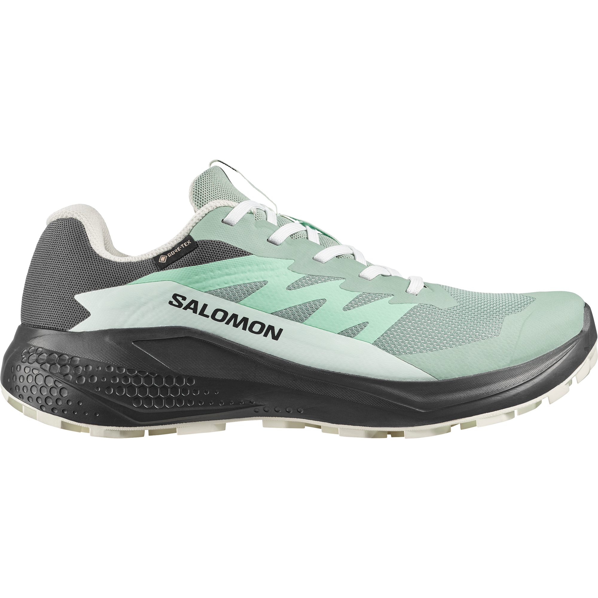 Salomon Trailrunningschuh »ALPHAGLIDE GORE-TEX® W«  wasserdicht