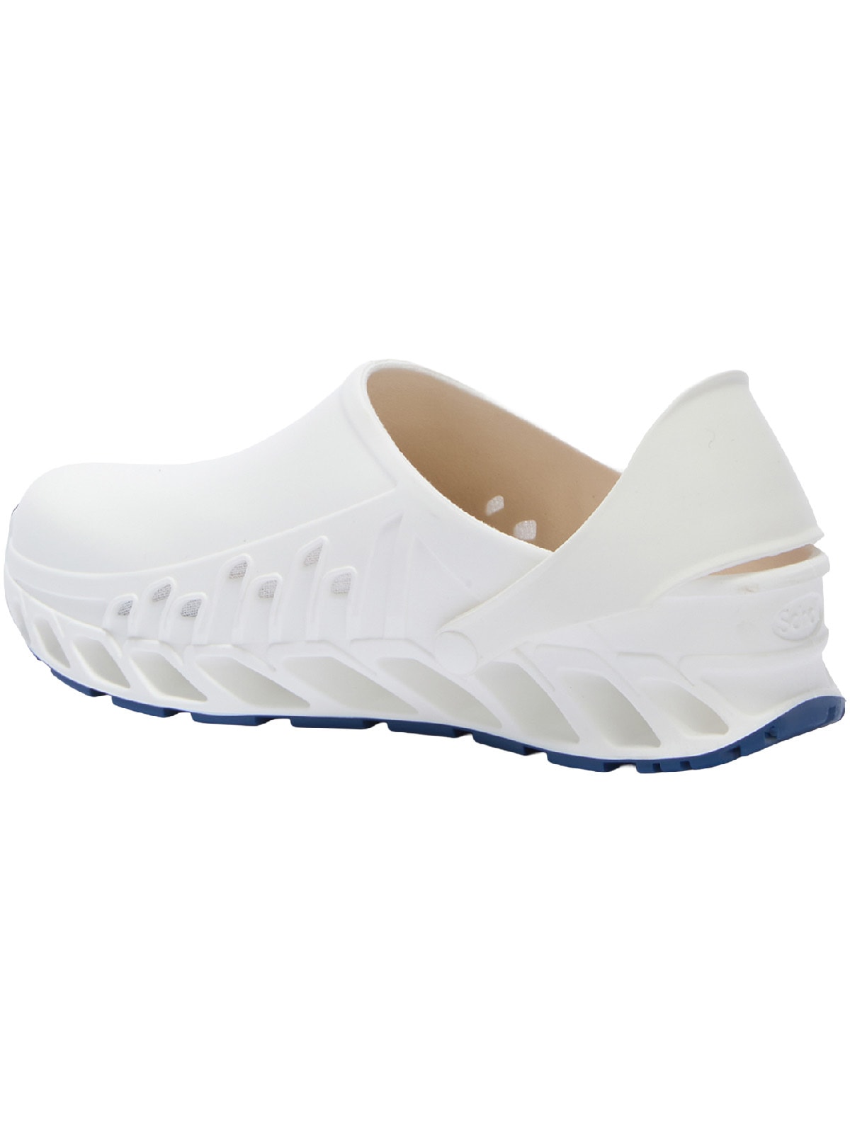 Scholl Clog »Evoflex«