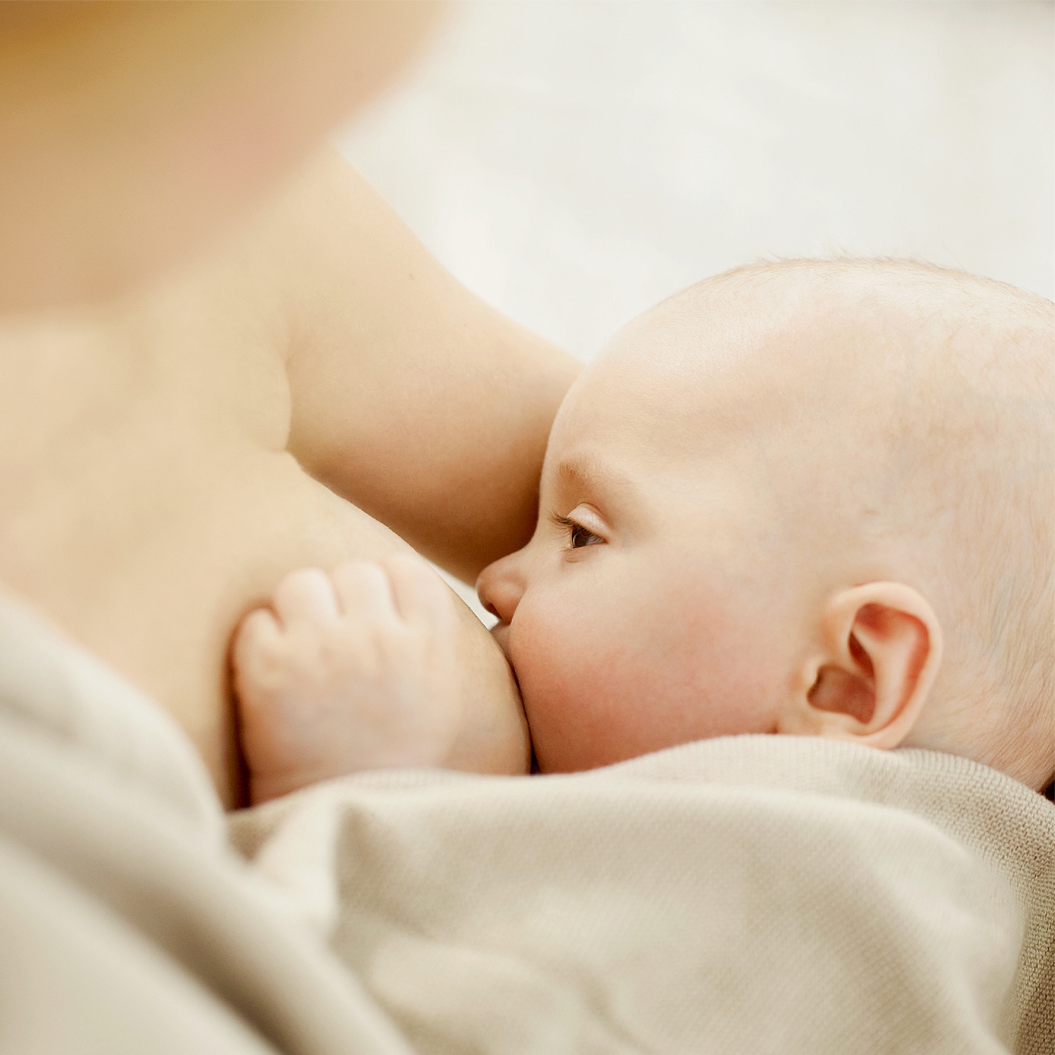 WELEDA Massageöl »Weleda Brust-Massageöl« entspannt die Brust bei Spannungsgefühlen