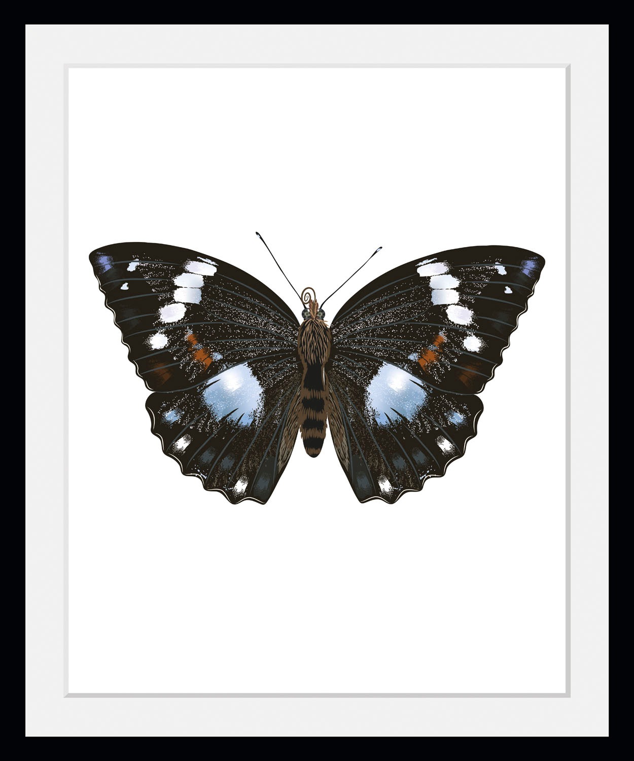 queence Bild »Juju«, Schmetterlinge-Kunst-Insekten-historische Ereignisse, (1 St.), HD Premium Poster-Druck inkl. Holzrahmen