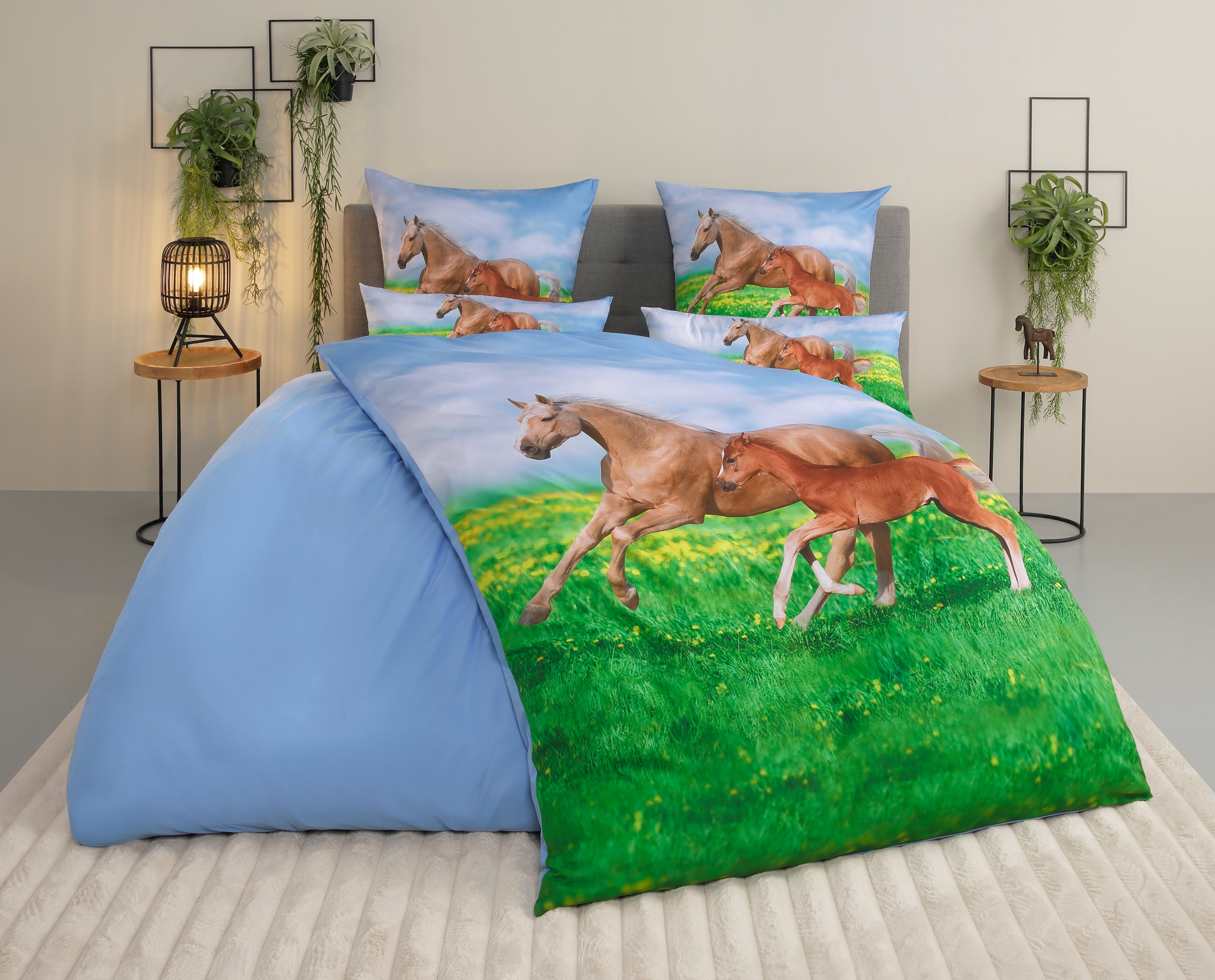 my home Bettwäsche »Lyki«, ab Größe 135x200 cm, 100% Polyester, Katze, Pferd, Löwe, Pinguin