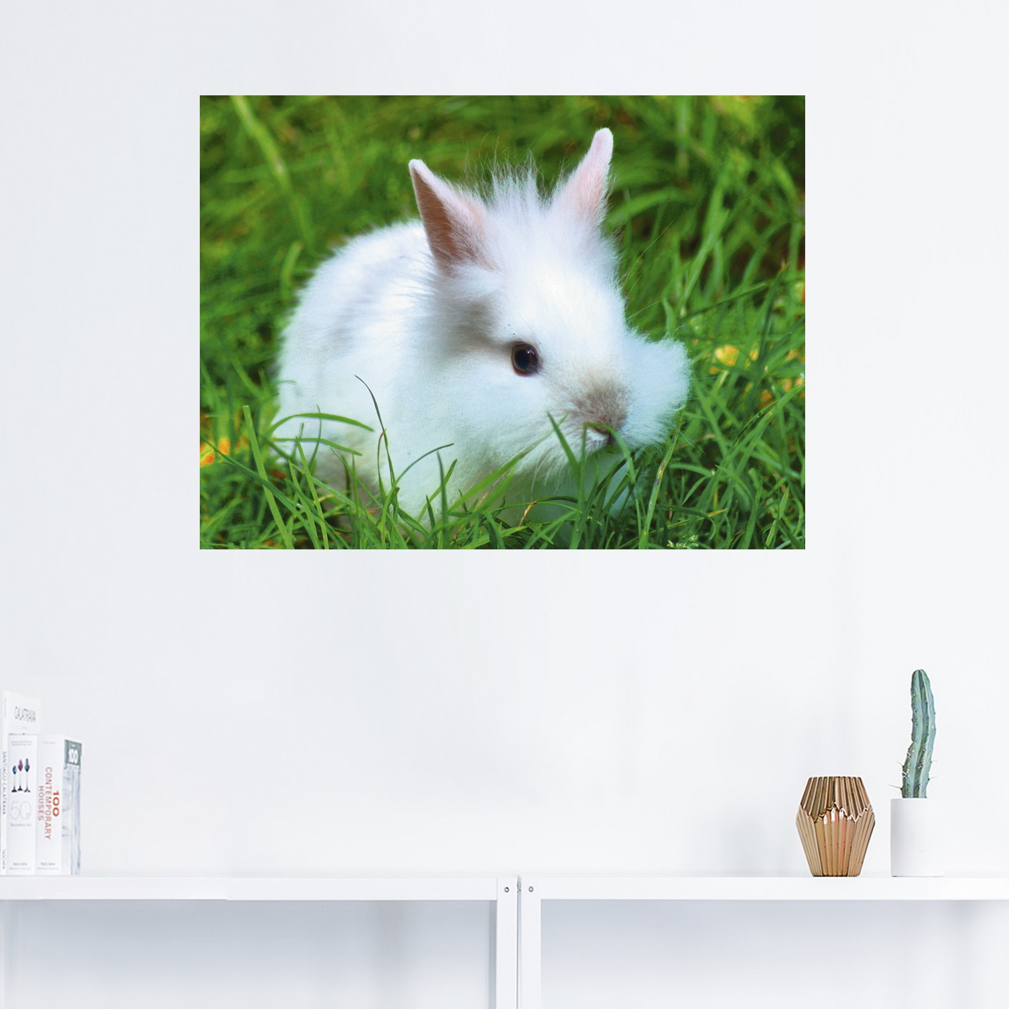 Artland Wandbild »Weißes Zwergkaninchen Baby«, Wildtiere, (1 St.), als Poster, Wandaufkleber in verschied. Größen