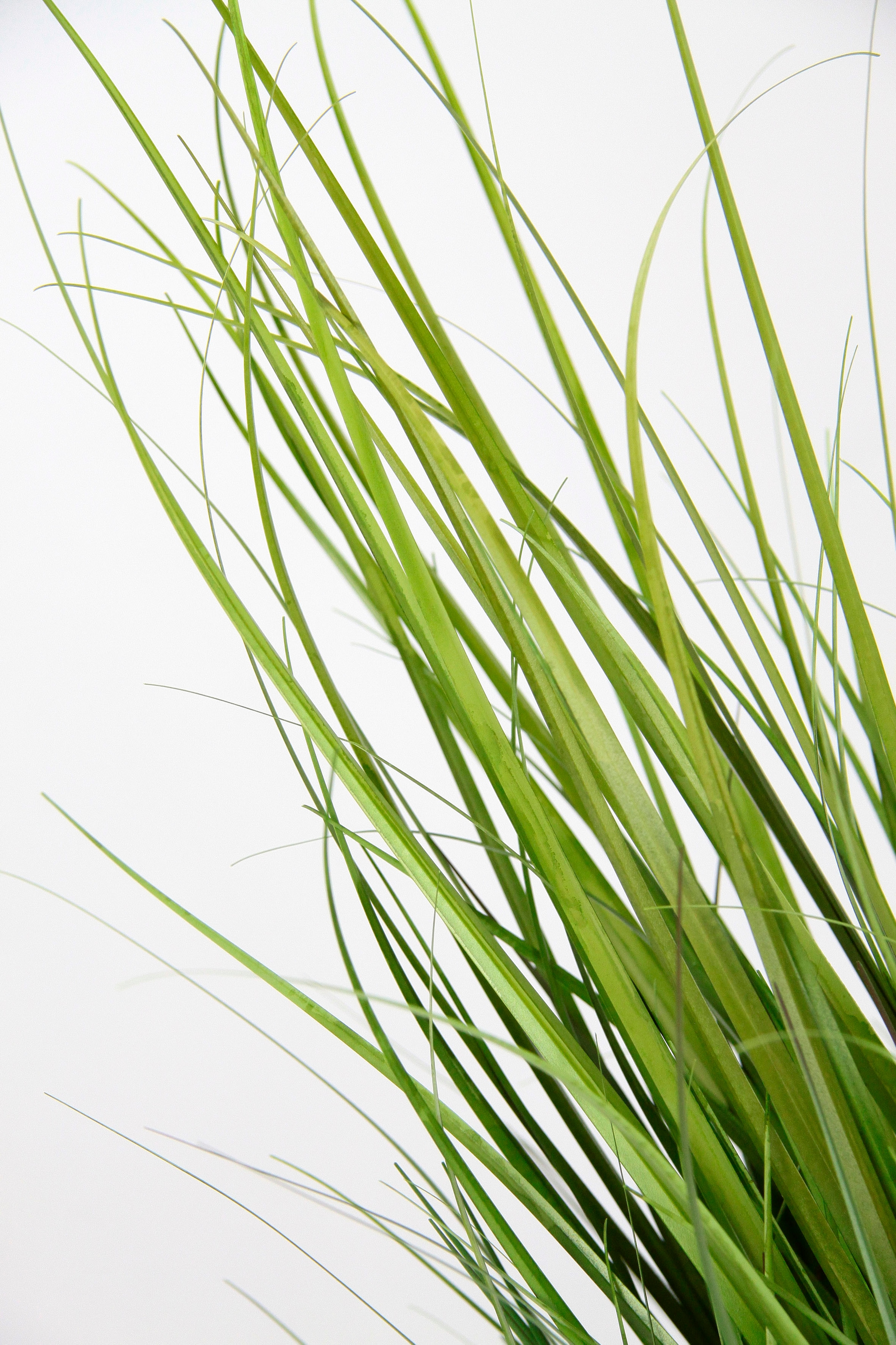 I.GE.A. Kunstpflanze »Grasbusch«, Dekogras