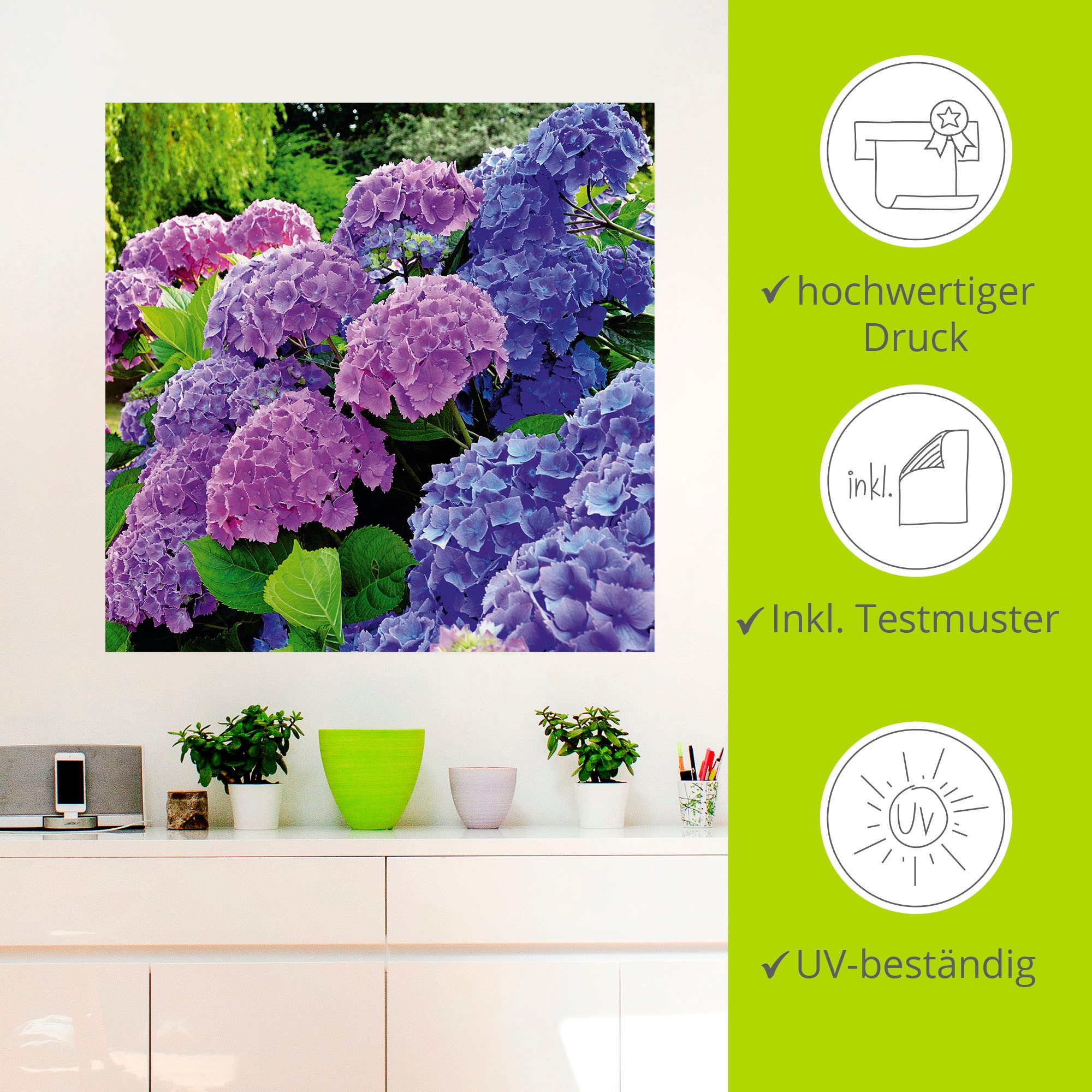 Artland Wandbild »Hortensien im Garten«, Blumen, (1 St.), als Alubild, Outdoorbild, Leinwandbild, Poster, Wandaufkleber