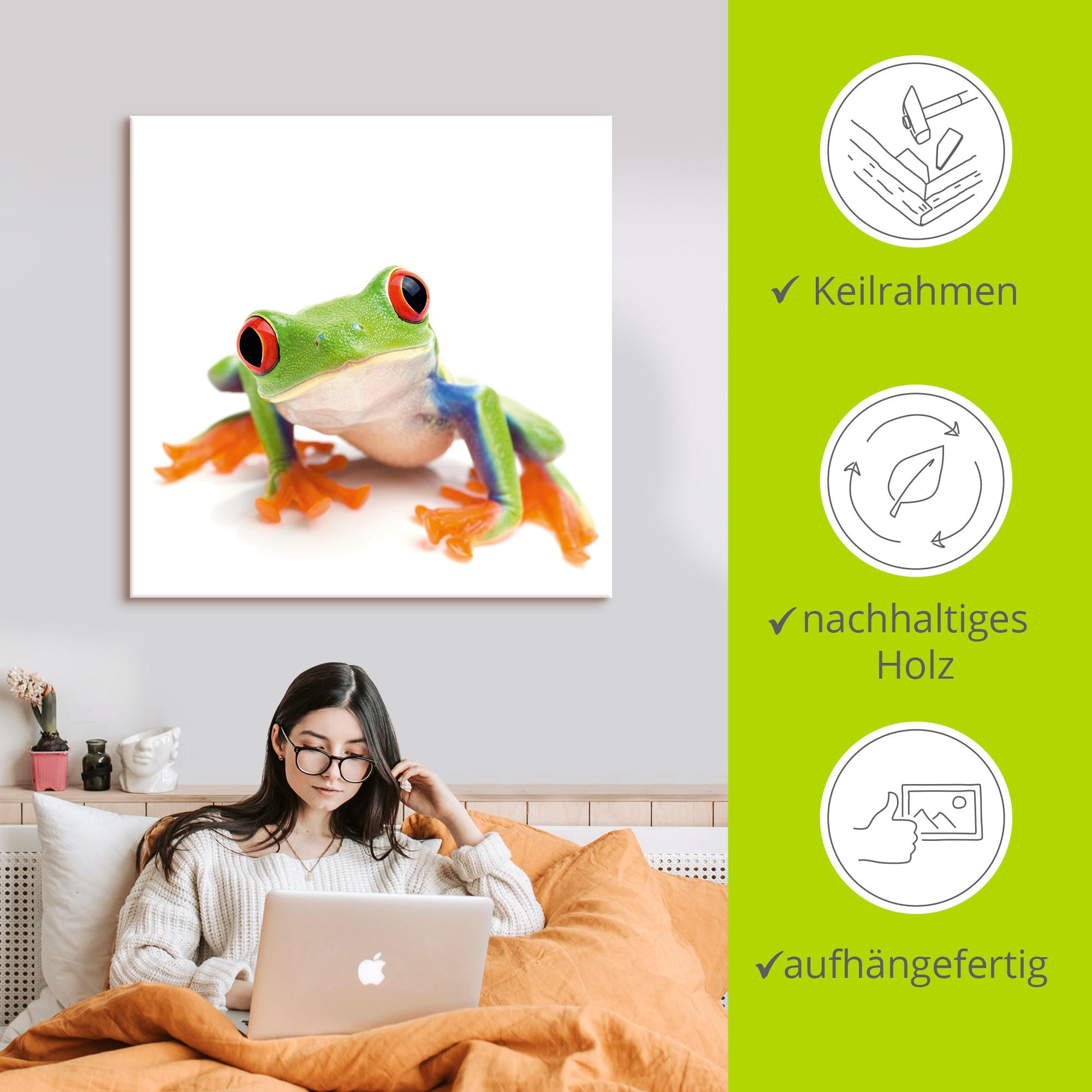 Artland Leinwandbild »Großaufnahme eines Frosches vor weiß« Wassertiere 1 Stk. tlg. auf Holzrahmen gespannt