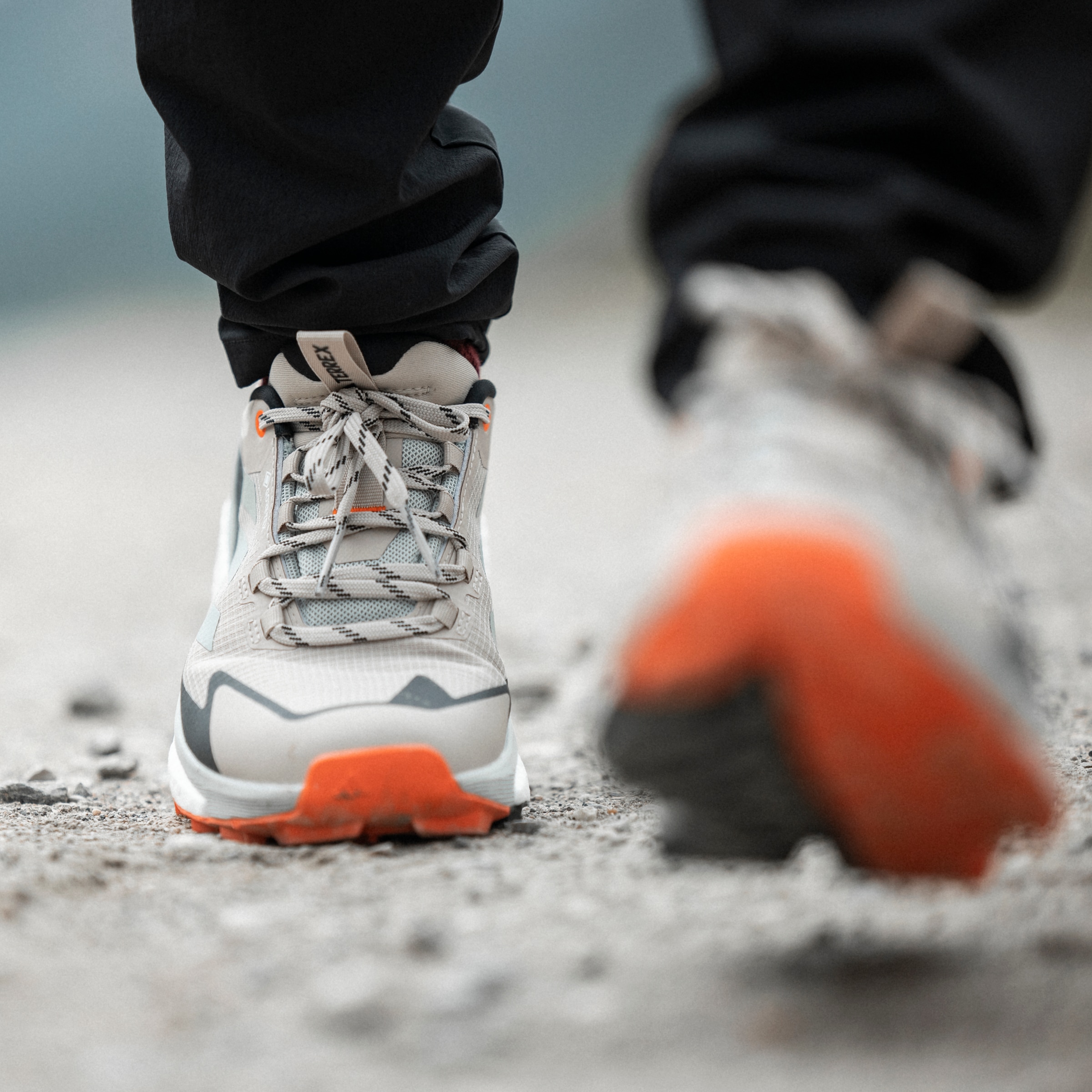 adidas TERREX Wanderschuh »TERREX FREE HIKER 2 LOW Gore-Tex W«, wasserdicht