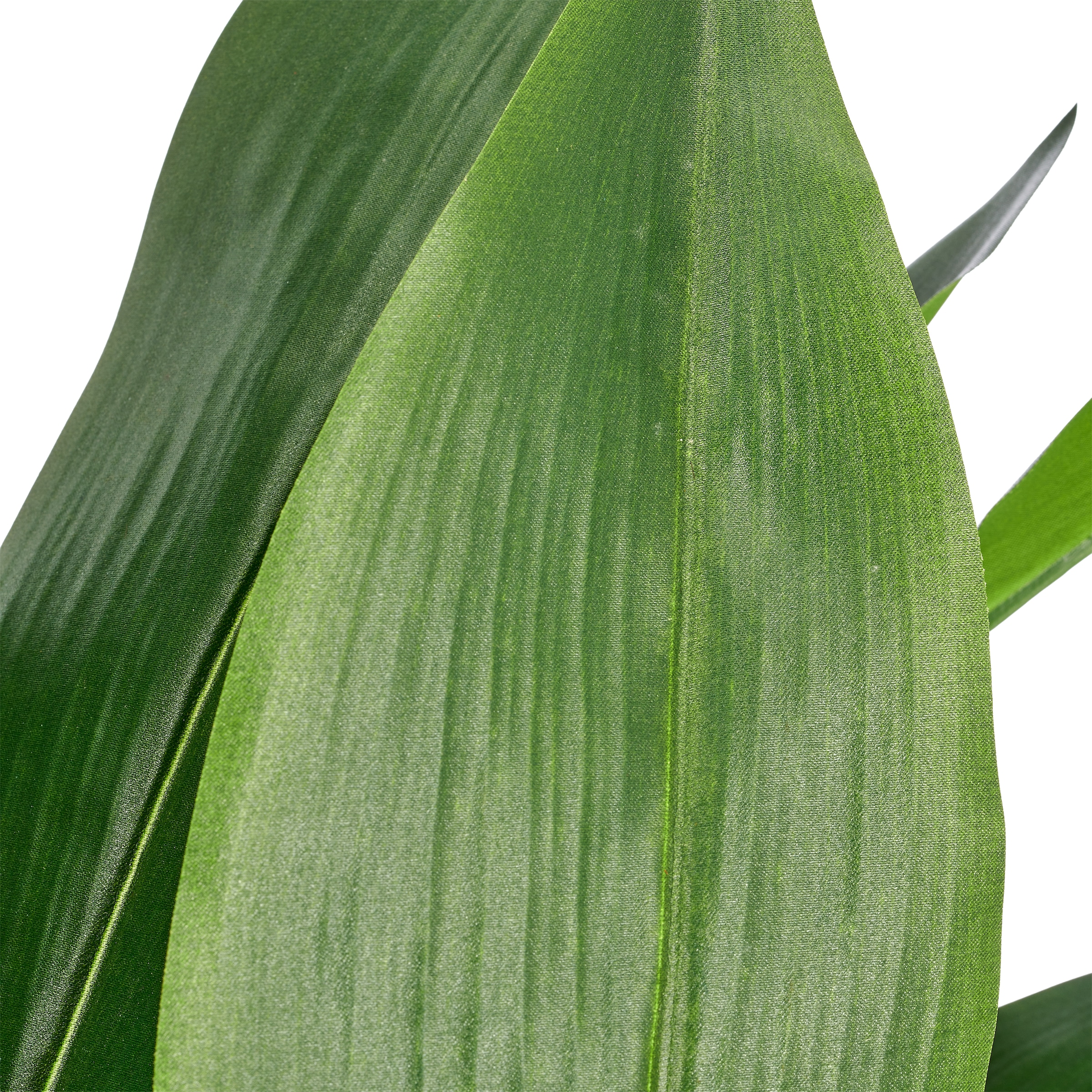 Creativ green Kunstpflanze »Aspidistra elatior« in beeindruckender Größe