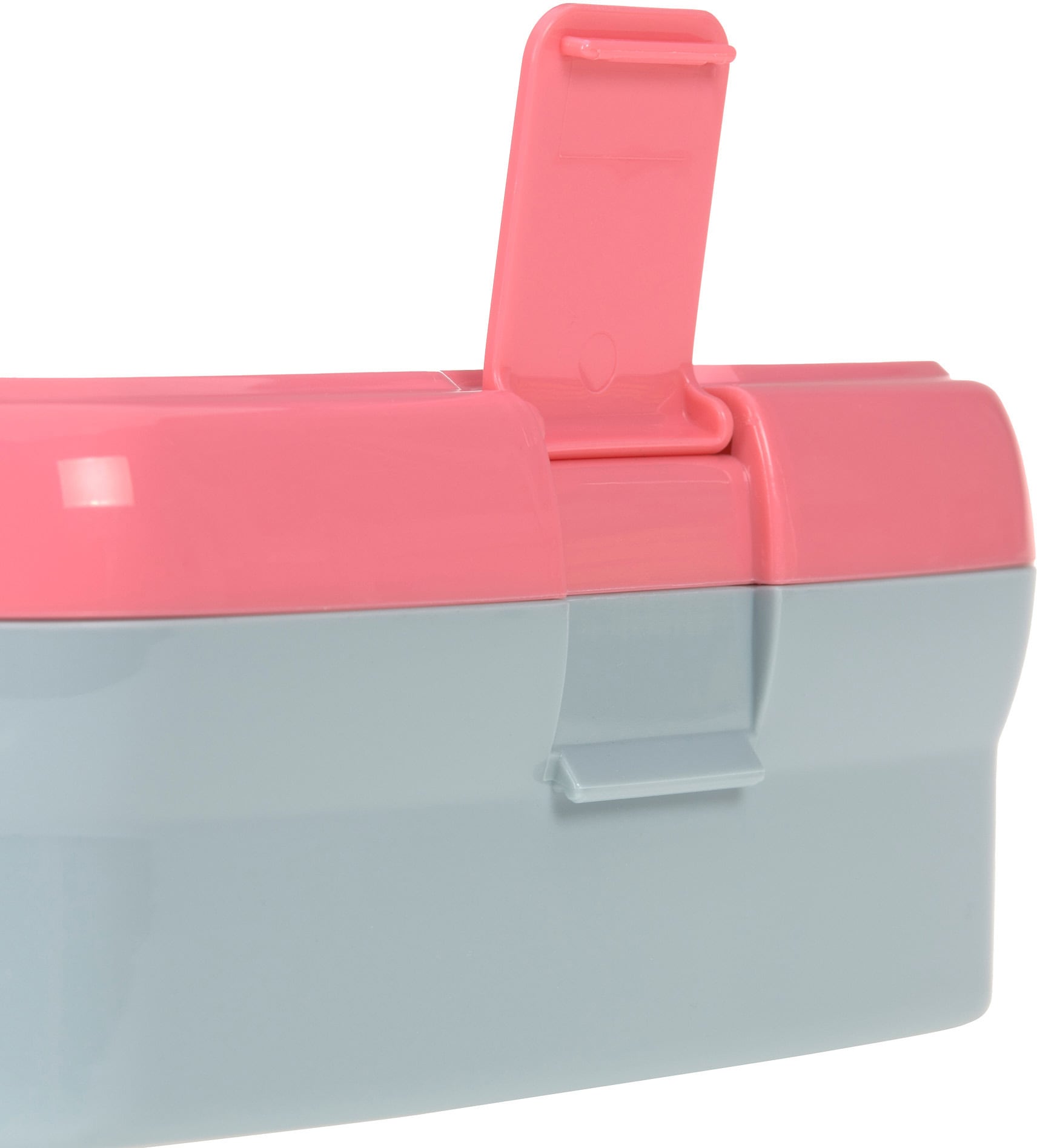 LÄSSIG Lunchbox »About Friends, Dino rose«, (Set, 2 tlg.), mit Trinkflasche