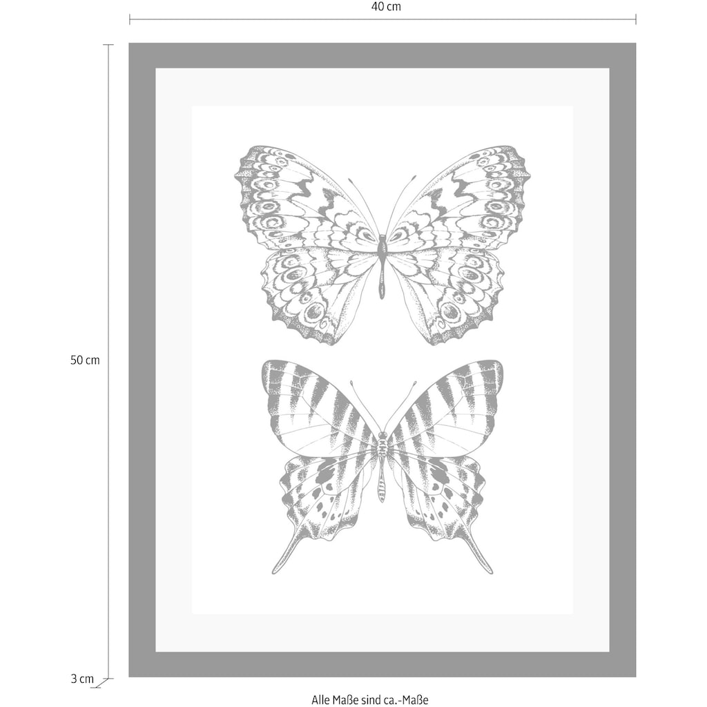 queence Bild »Schmetterlinge«