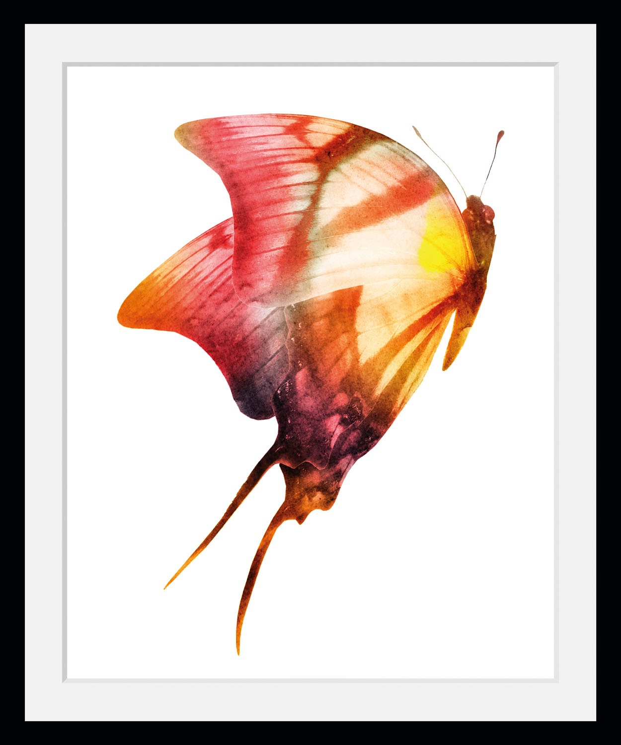 queence Bild »Darleen«, Schmetterlinge-Kunst-Insekten, (1 St.), HD Premium Poster-Druck inkl. Holzrahmen