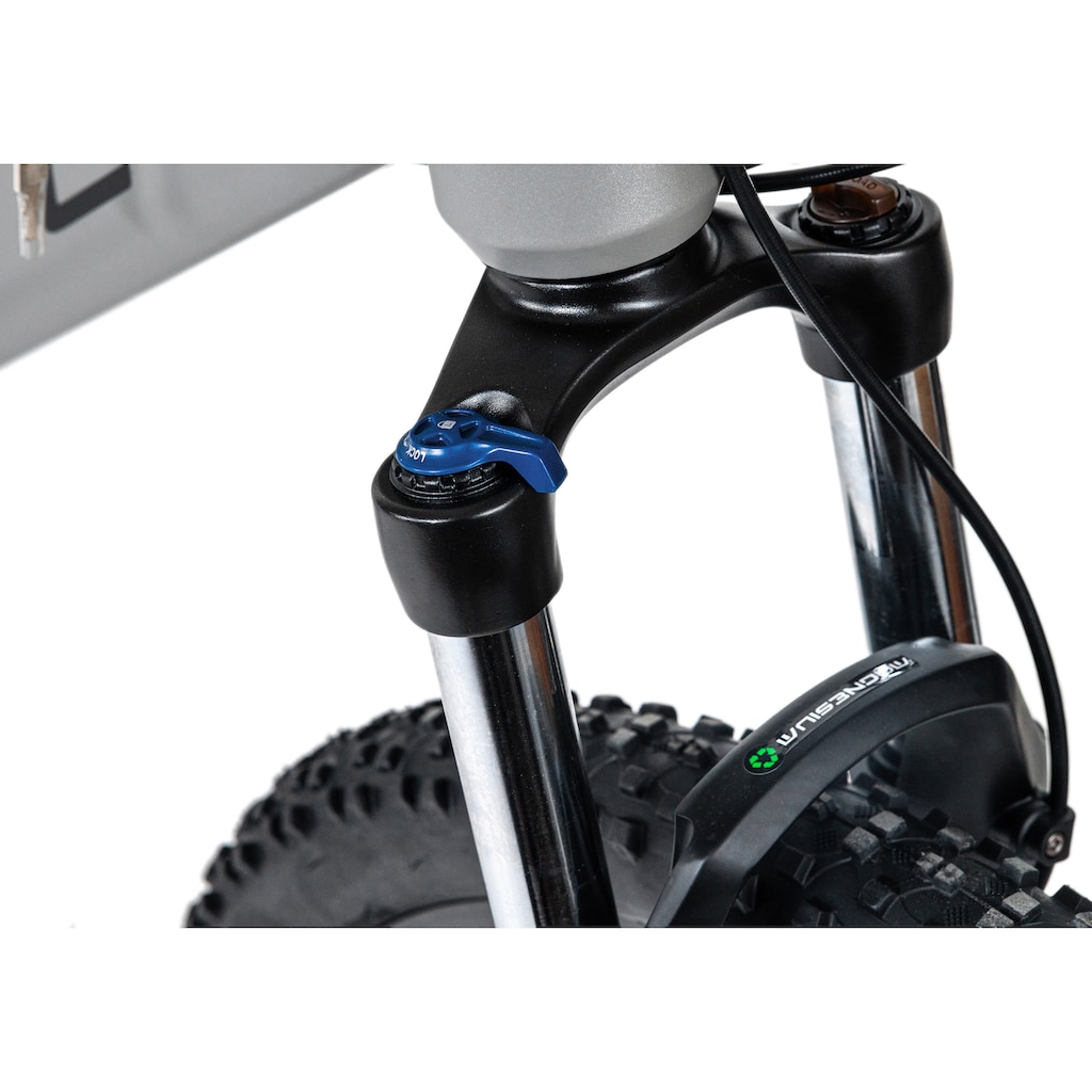 Adore E-Bike »Raccoon«, 24 Gang, Shimano, Acera, Heckmotor 250 W