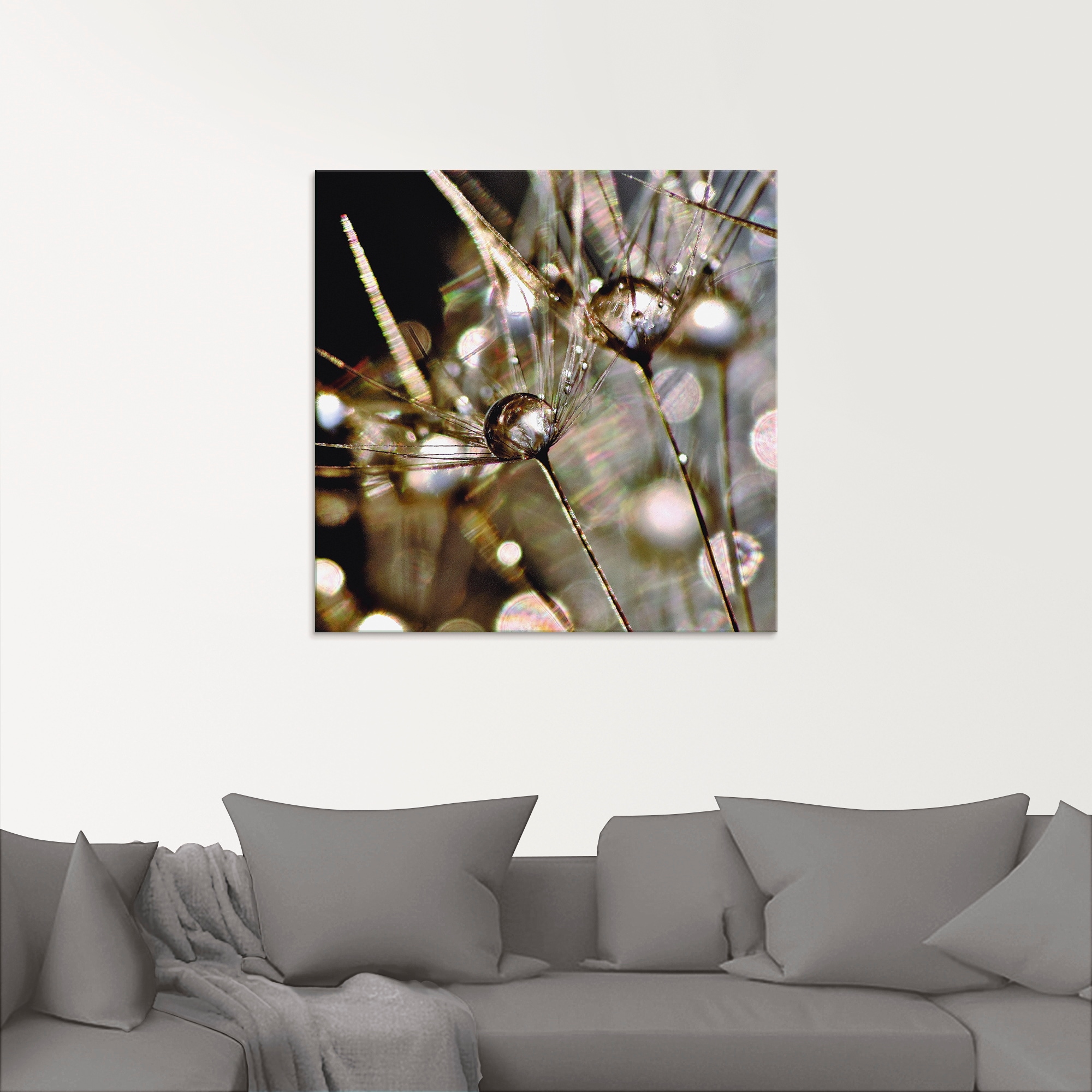 Artland Glasbild »Pusteblume mit Wasserperlen« Blumen 1 Stk. tlg. in verschiedenen Größen