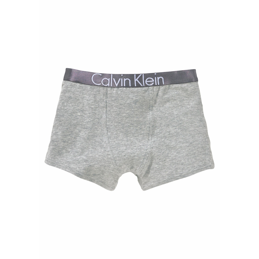 Calvin Klein Underwear Boxer, (2 St.)