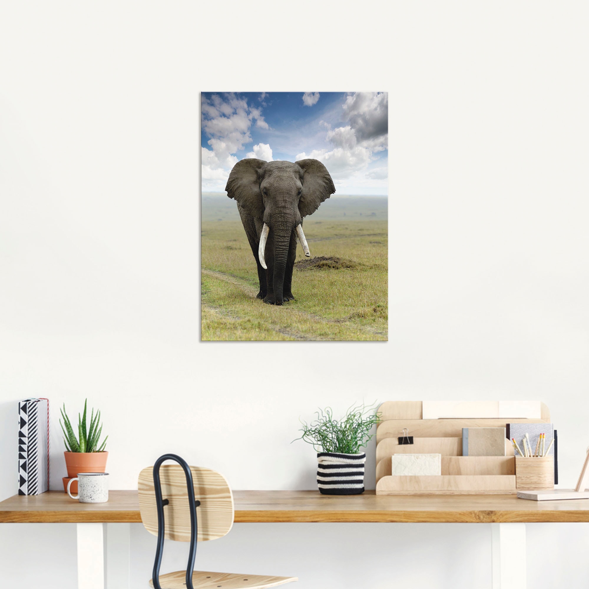 Artland Wandbild »Elefant« Wildtiere 1 Stk. tlg. als Alubild, Leinwandbild in verschied. Größen