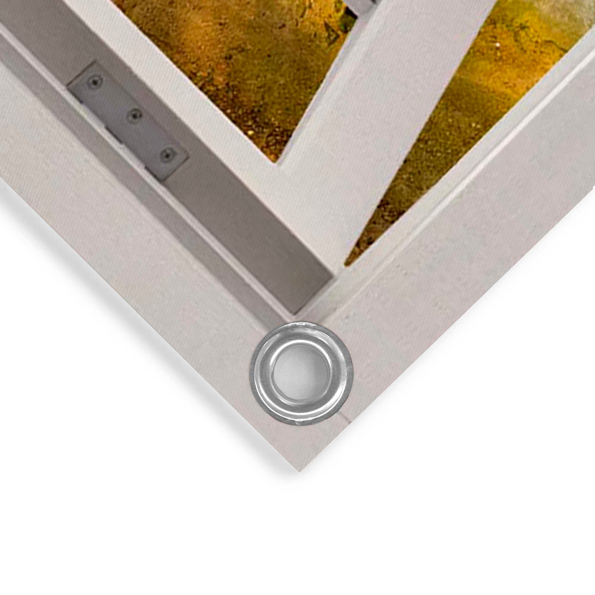 Reinders! Poster »Sonnestrahlen im Wald«