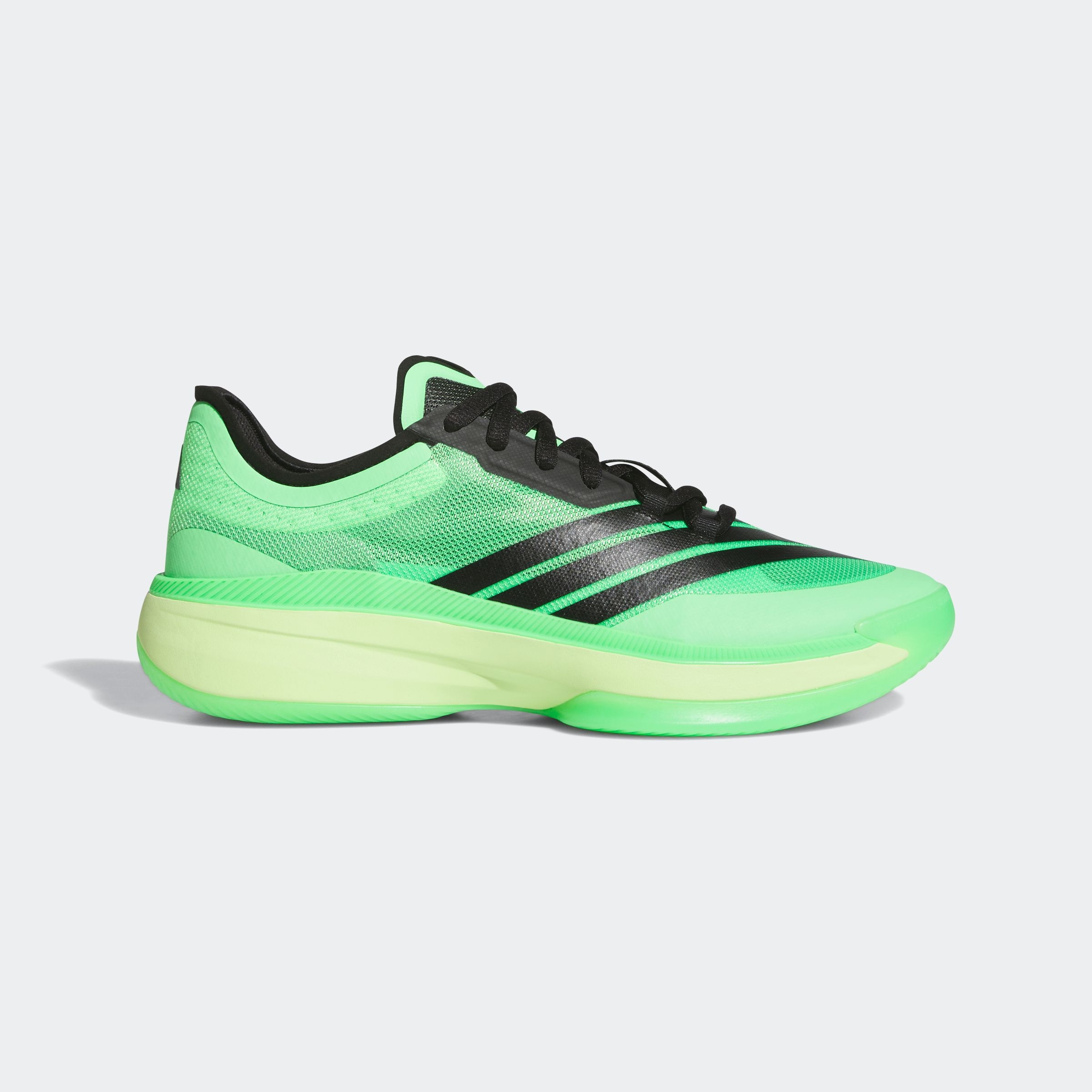 adidas Performance Basketballschuh »ADIZERO SELECT 3.0«