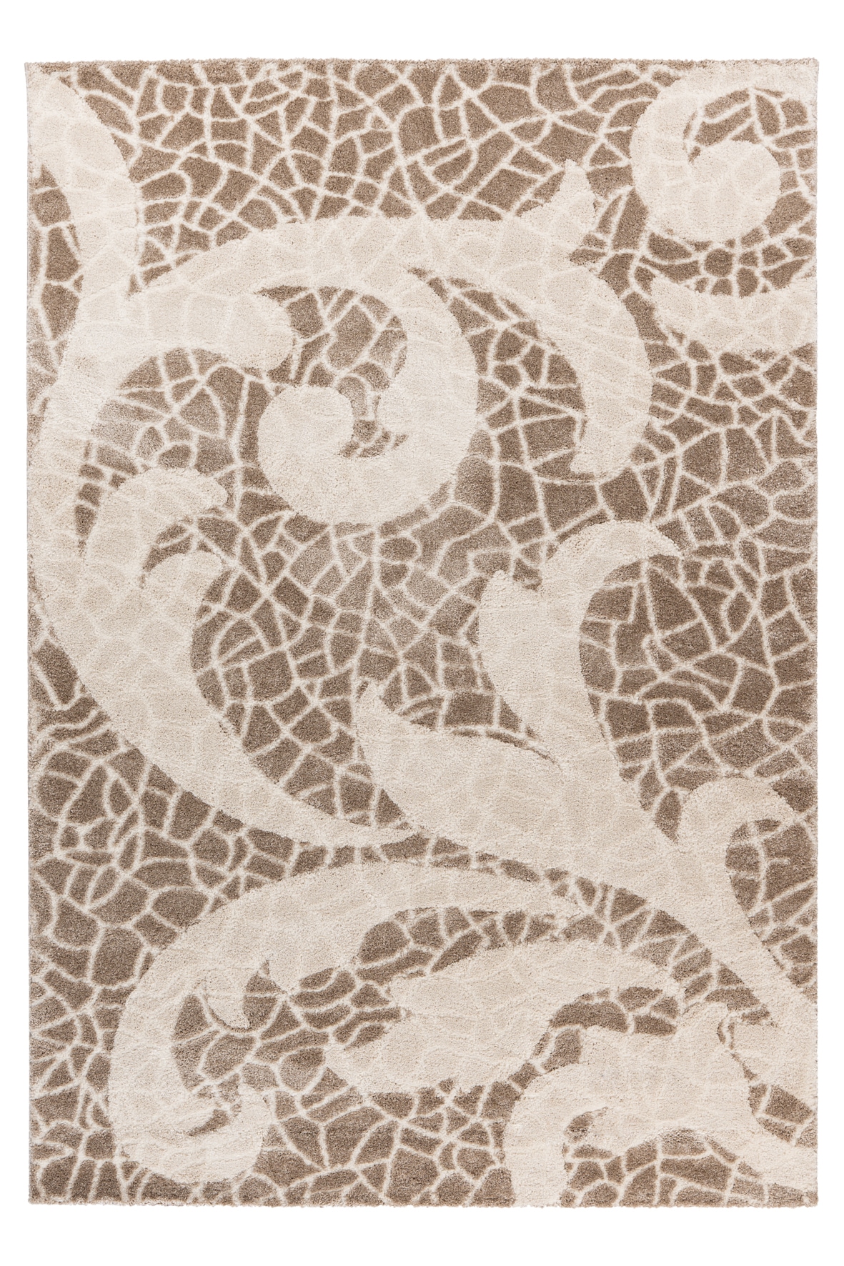 Obsession Teppich »My Frisco 280« rechteckig 12 mm Höhe klassisches Design, Ornamente, Wohnzimmer, Schlafzimmer