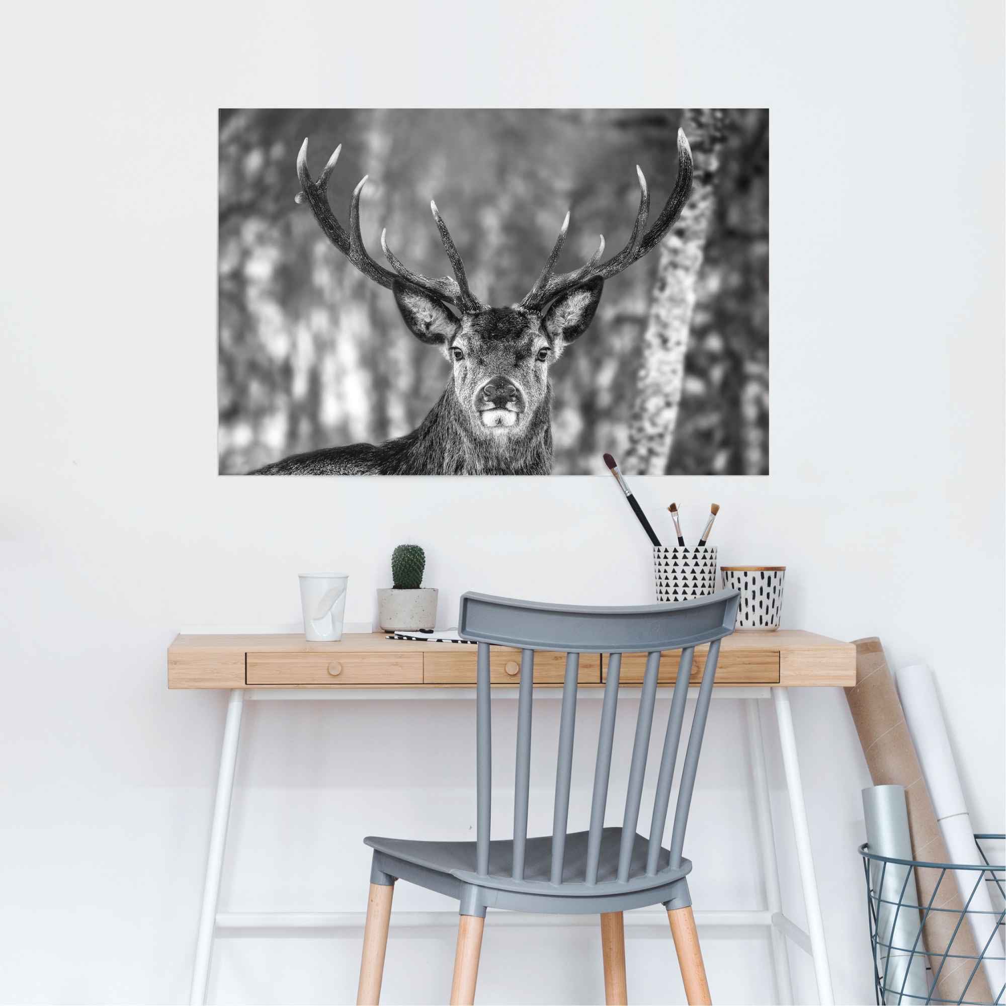 Reinders! Poster »Hirsch im Winter«, (1 St.)