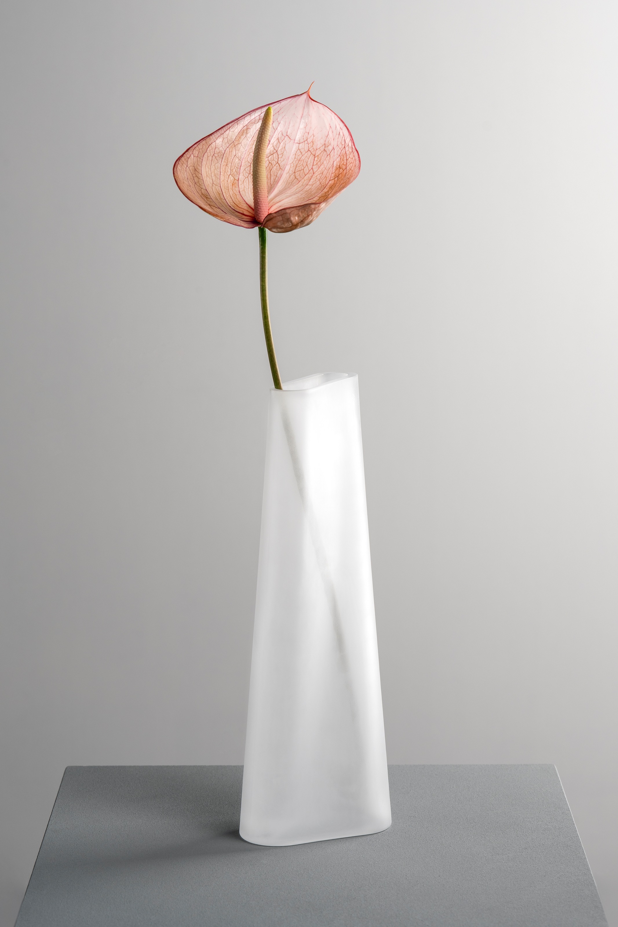 LEONARDO Dekovase »GK/Vase TURNO«