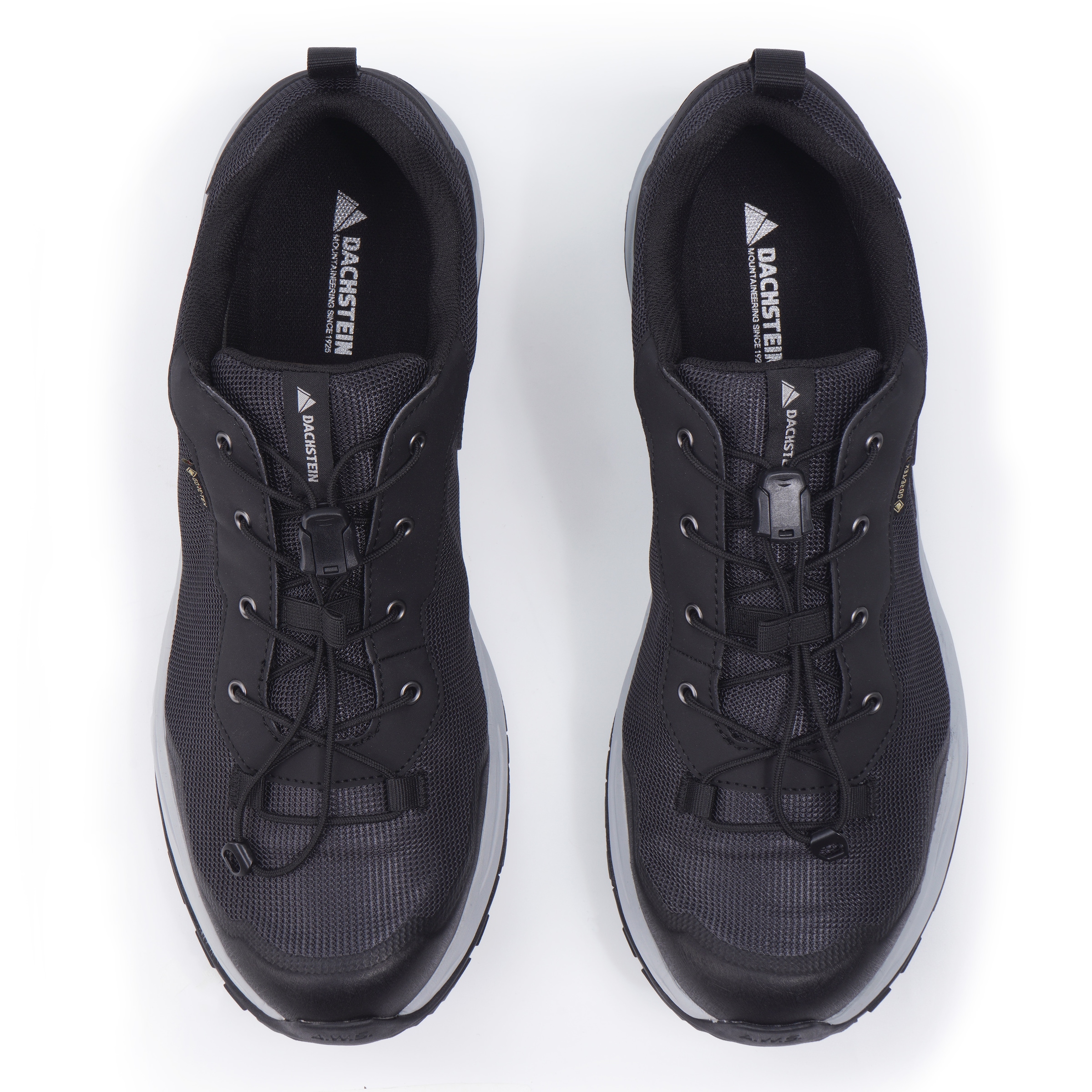 Dachstein Wanderschuh »DELTA ASCENT GORE-TEX«, wasserdicht