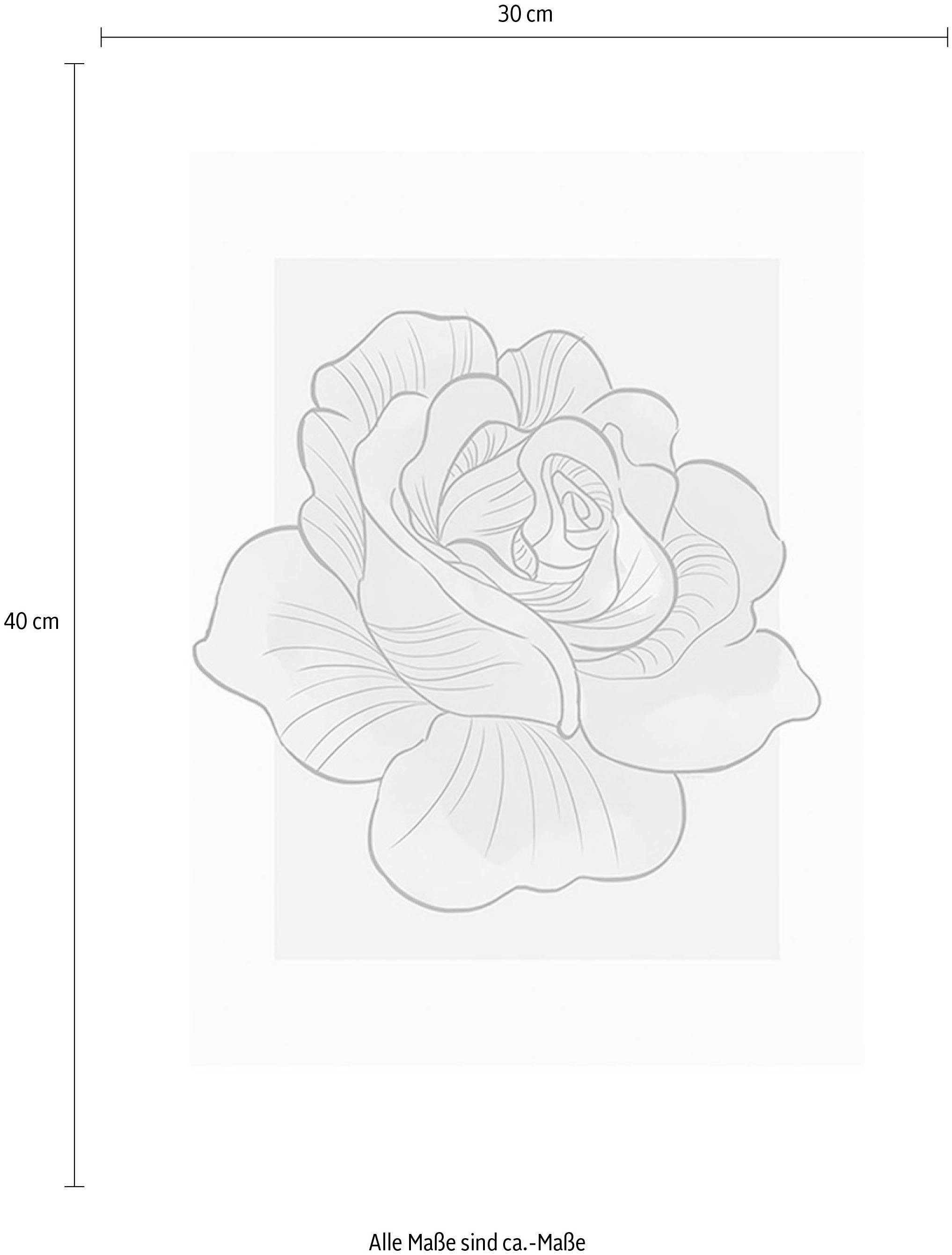 Komar Bild »Cinderella Rose« Disney 1 Stk. tlg. Wandbild zur Dekoration im Kinderzimmer - ohne Rahmen