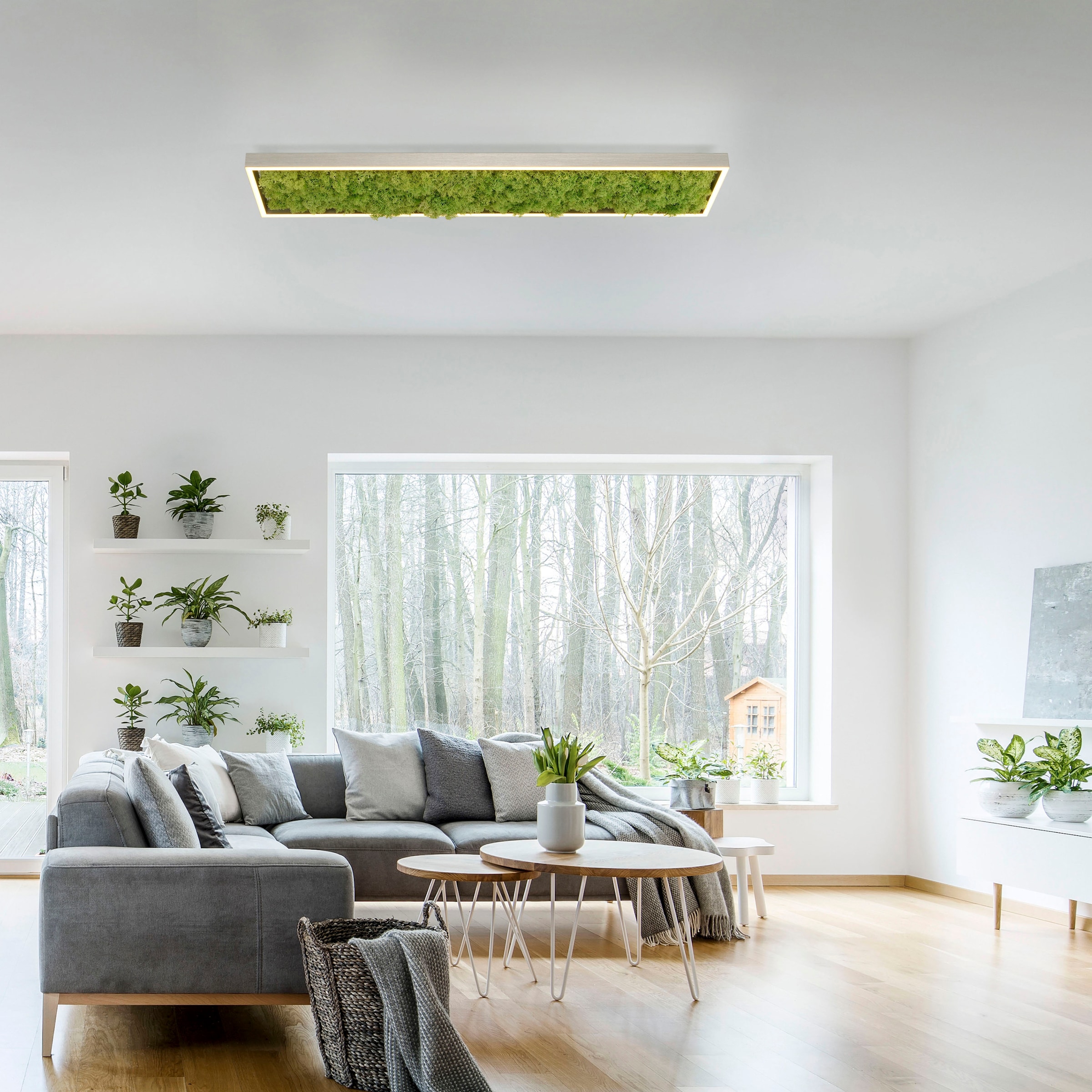 JUST LIGHT Deckenleuchte »GREEN KNUT«, 1 flammig, Leuchtmittel LED-Board | LED fest integriert