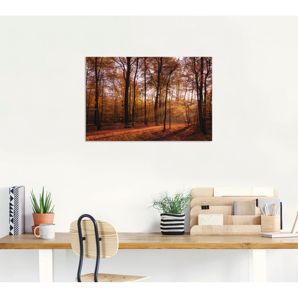 Artland Wandbild »Sonnenaufgang im Herbst II«, Wald, (1 St.)