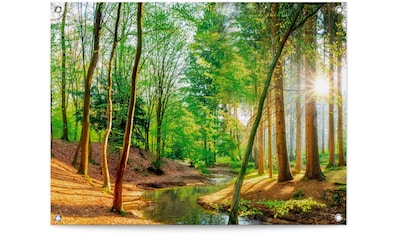 Artland Leinwandbild »Wald Bach Frühling Windrosen Sonne Baum«, Wald, (4 St.),  4er Set, verschiedene Größen auf Rechnung bestellen