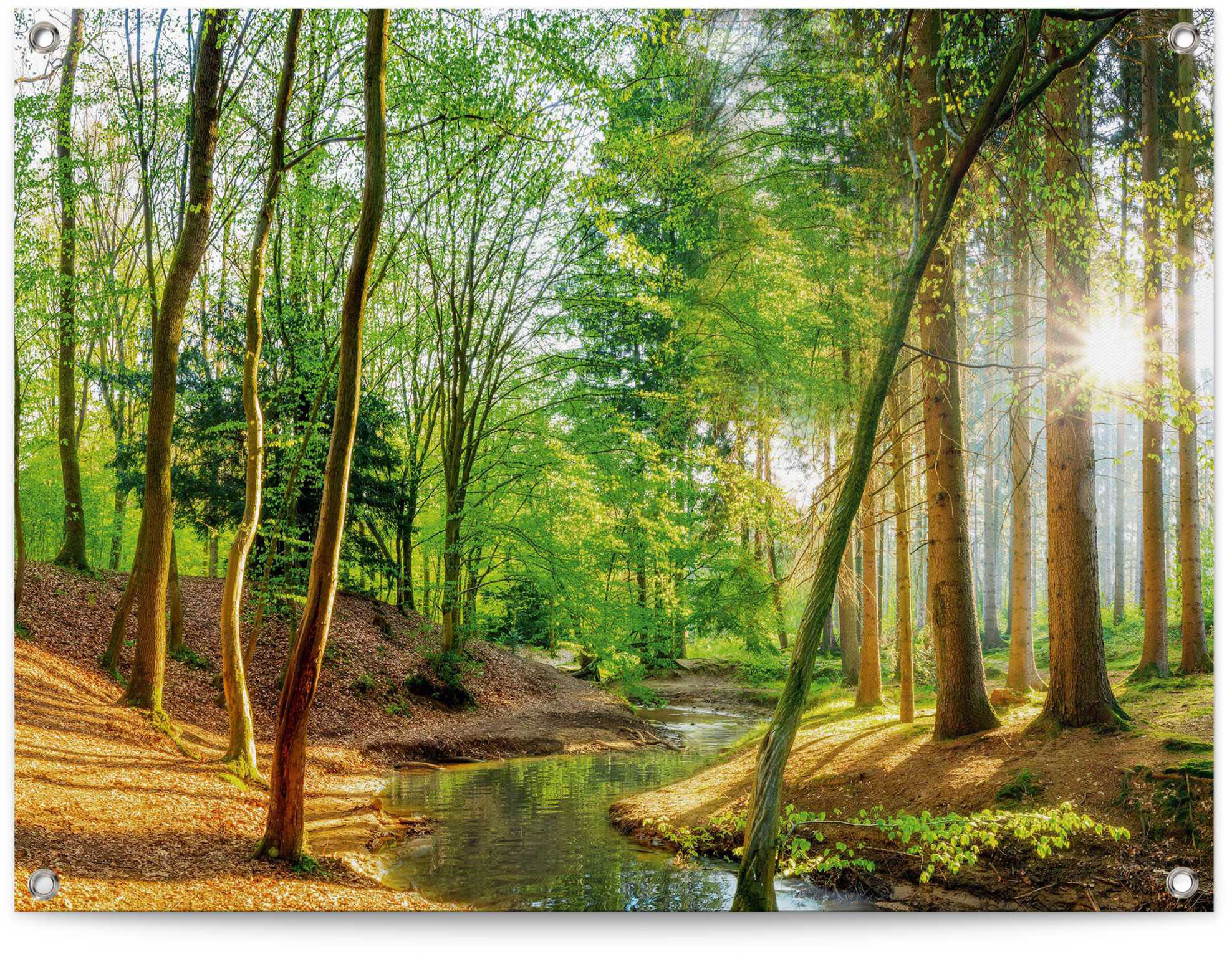 Wald, Leinwandbild (4 verschiedene Größen Set, Sonne 4er Frühling Windrosen Bach »Wald Rechnung bestellen Baum«, Artland auf St.),