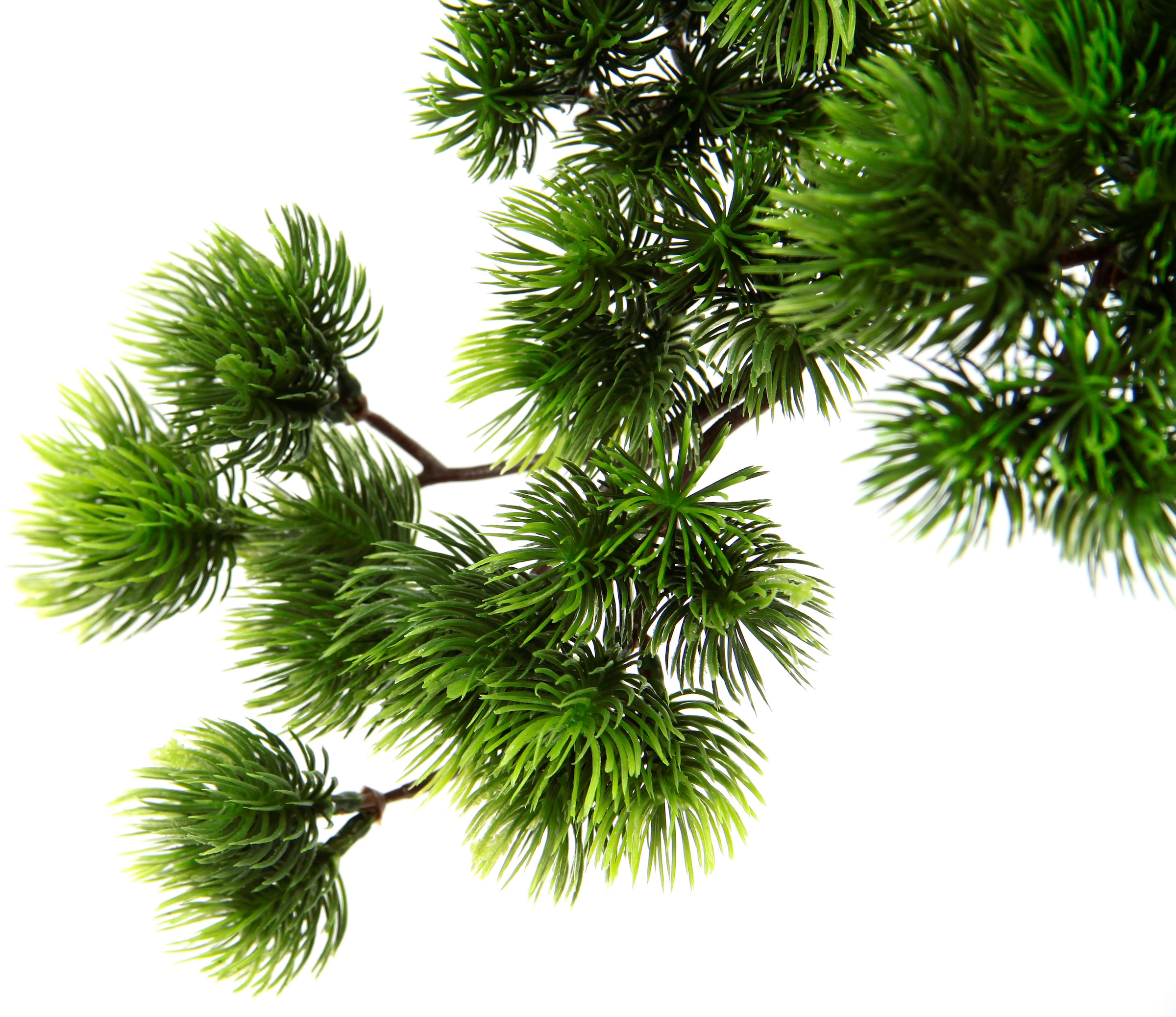 I.GE.A. Kunstpflanze »Bonsai Baum in Schale«, Exotische Bäume Zen Garten