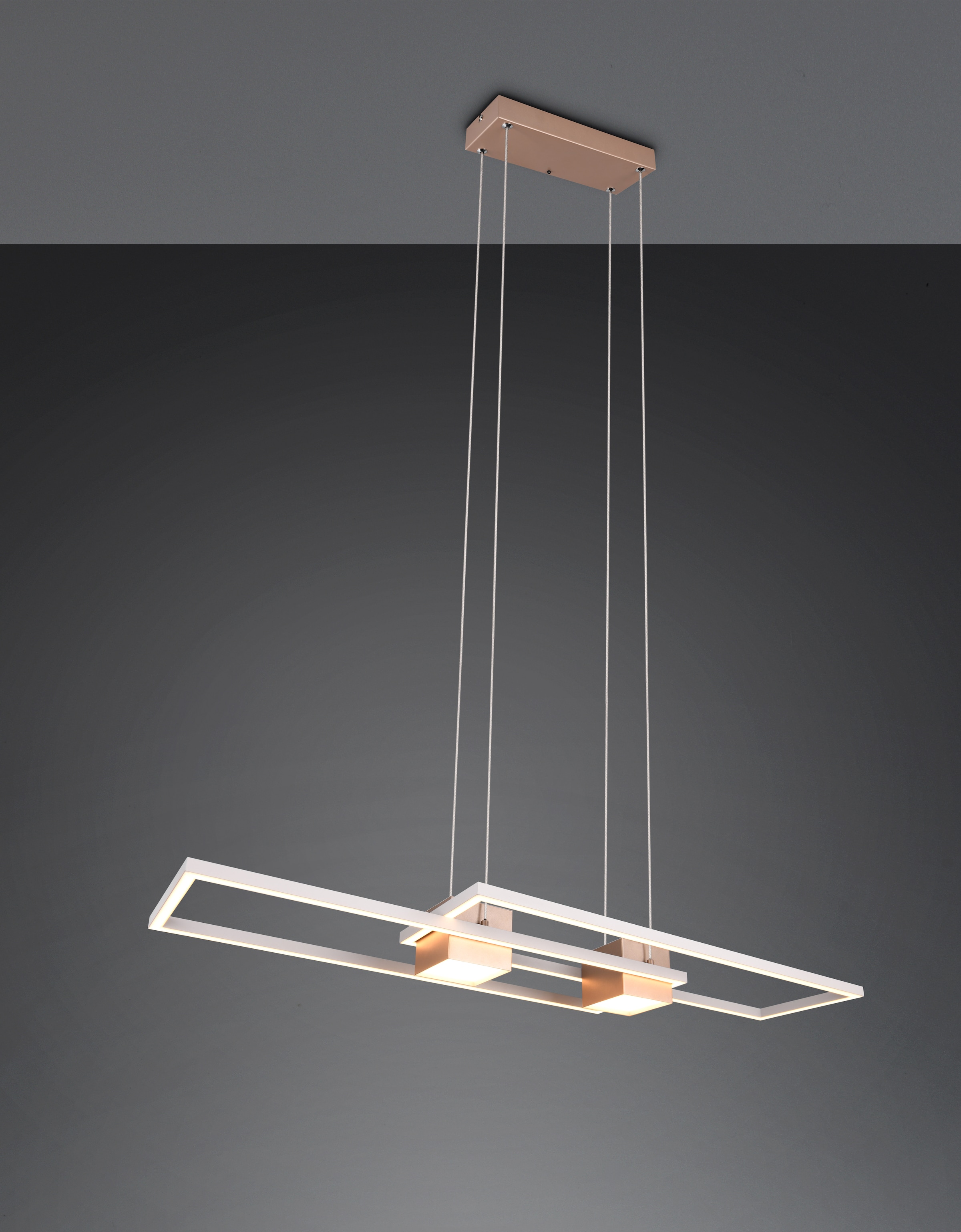 TRIO Leuchten LED Pendelleuchte »ALBANY, LED Hängelampe Wohnzimmer mit Fernbedienung, dimmbar, CCT« LED-Board 1 Stk. warmweiß - kaltweiß Lichtfarbe einstellbar, Memoryfunktion, Nachtlicht, up-and-down Licht