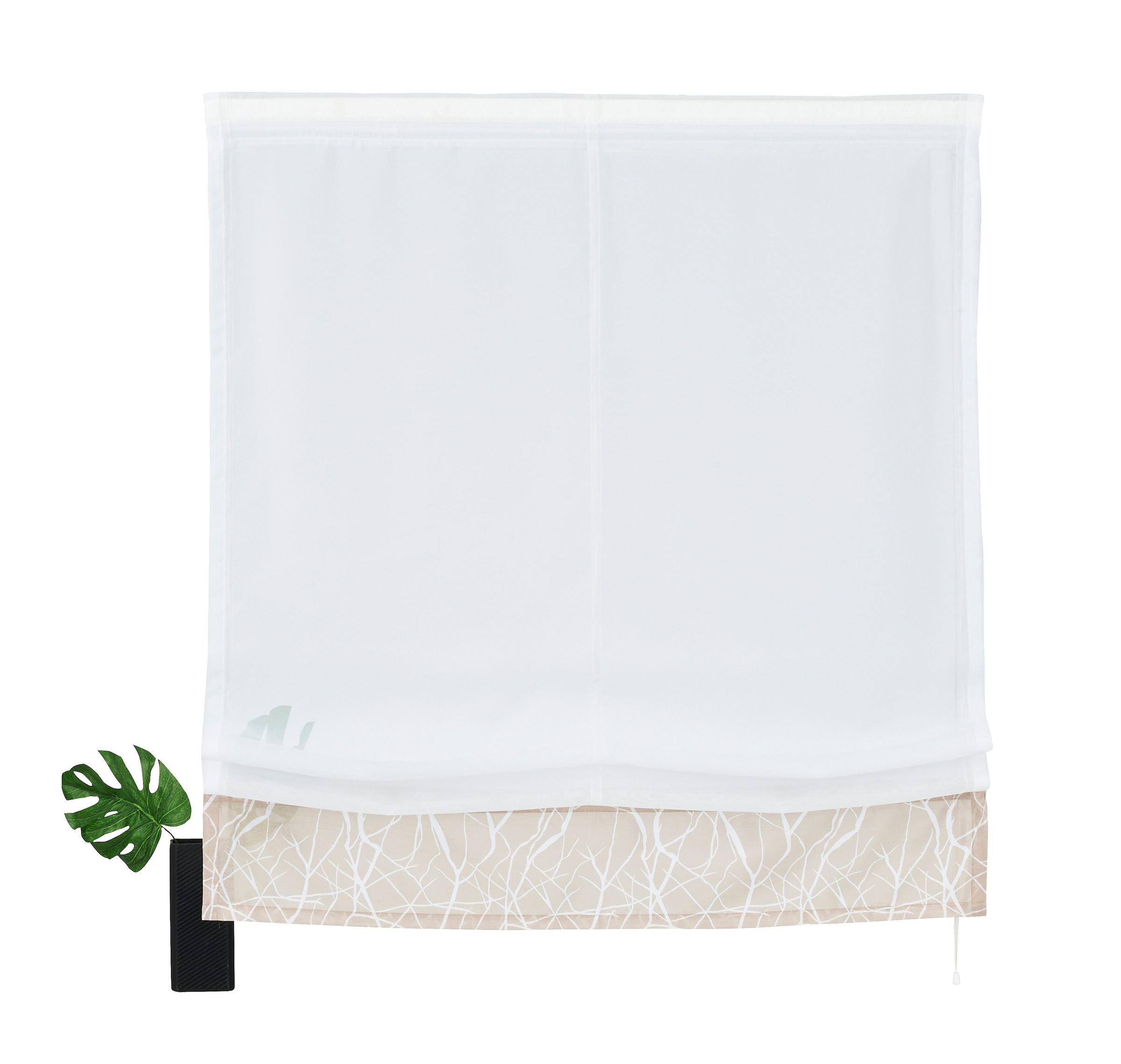 my home Raffrollo »Camposa« mit Klettband Transparent, Voile, Polyester